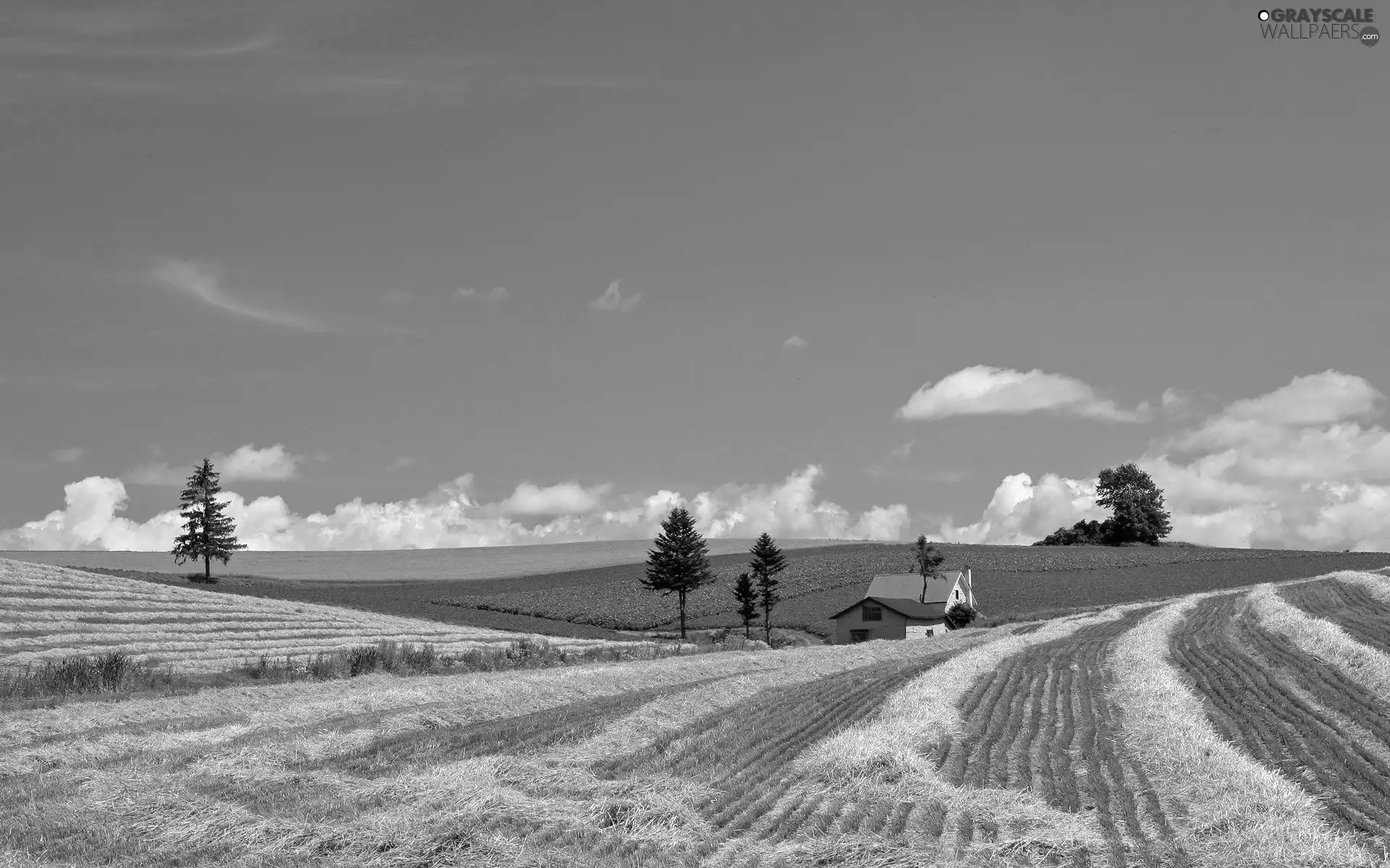 house, country, field