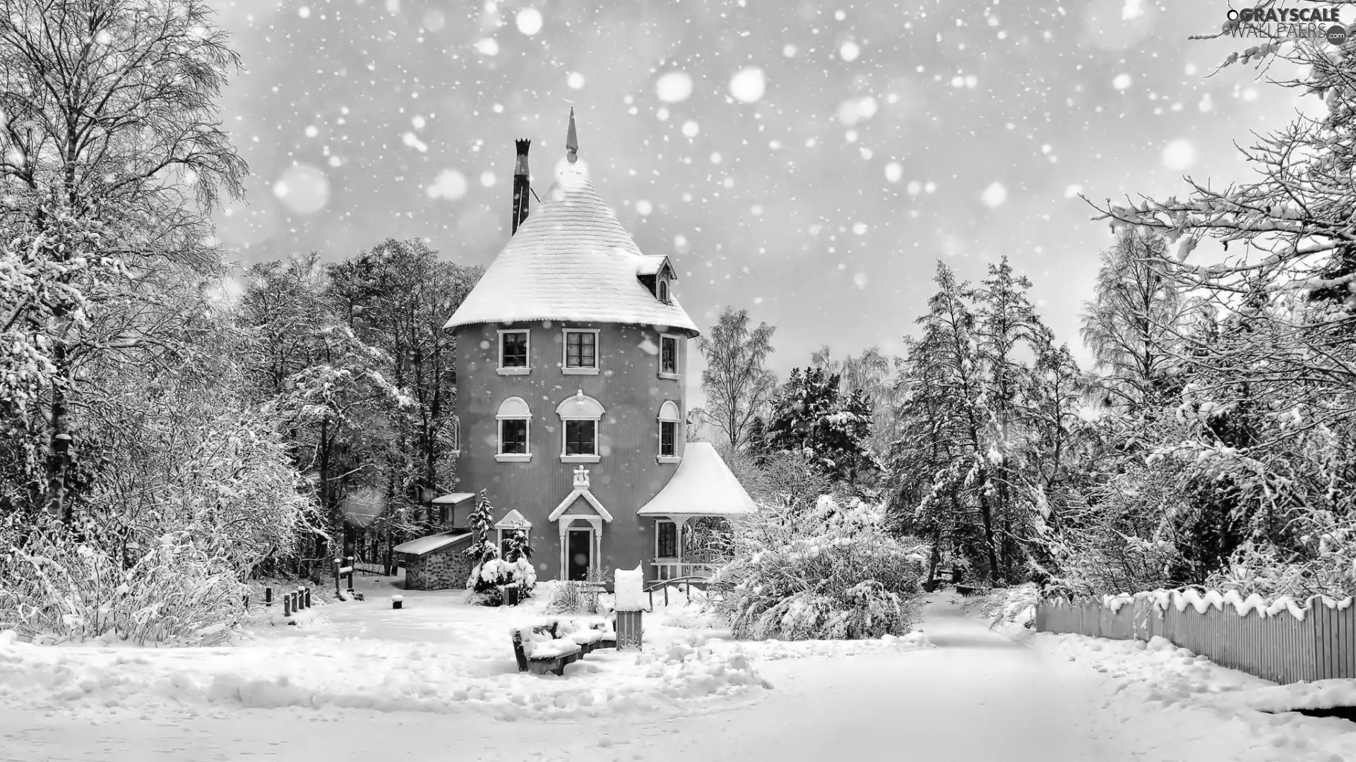house, winter, forest