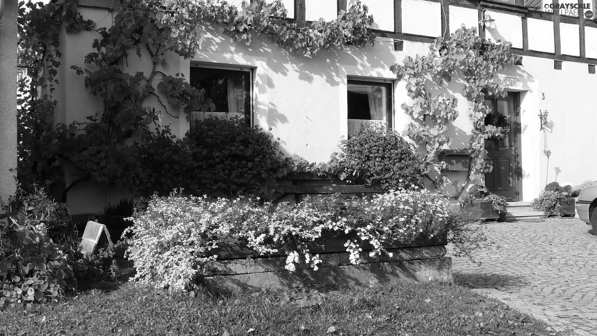 Garden, green, house, Flowers