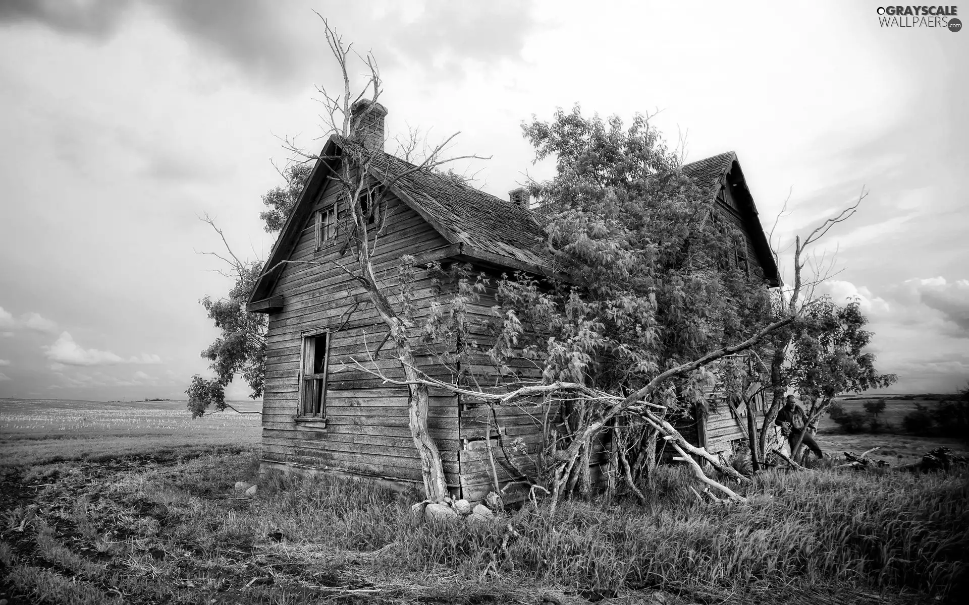 Field Grass, wooden, house