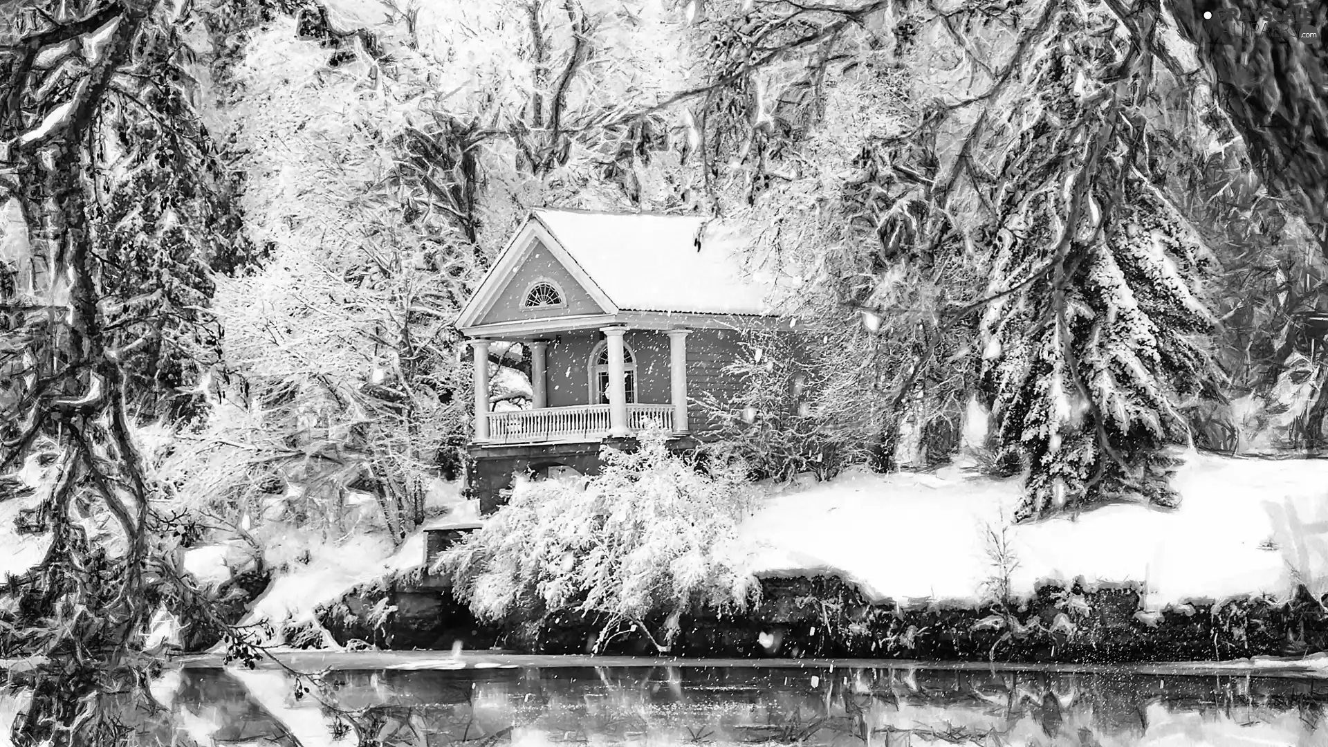 trees, graphics, house, Home, viewes, winter