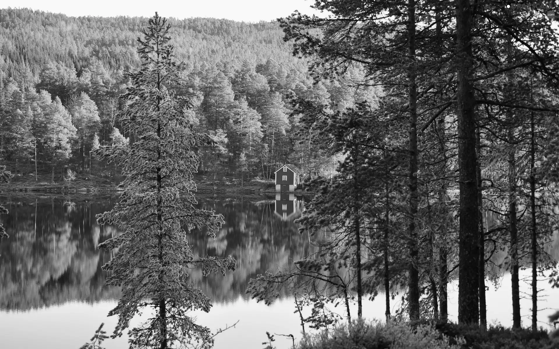 house, woods, lake