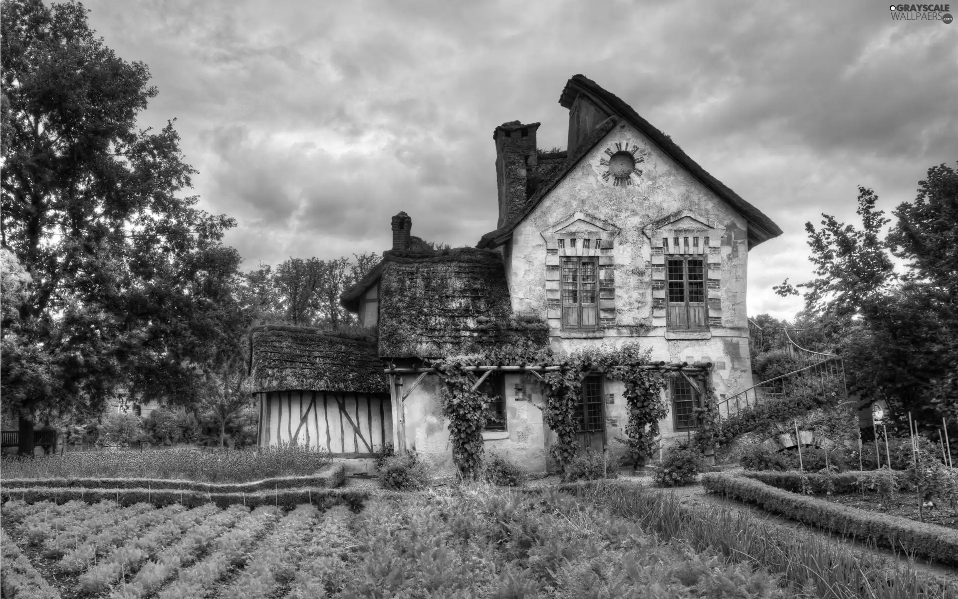 Garden, Old car, house