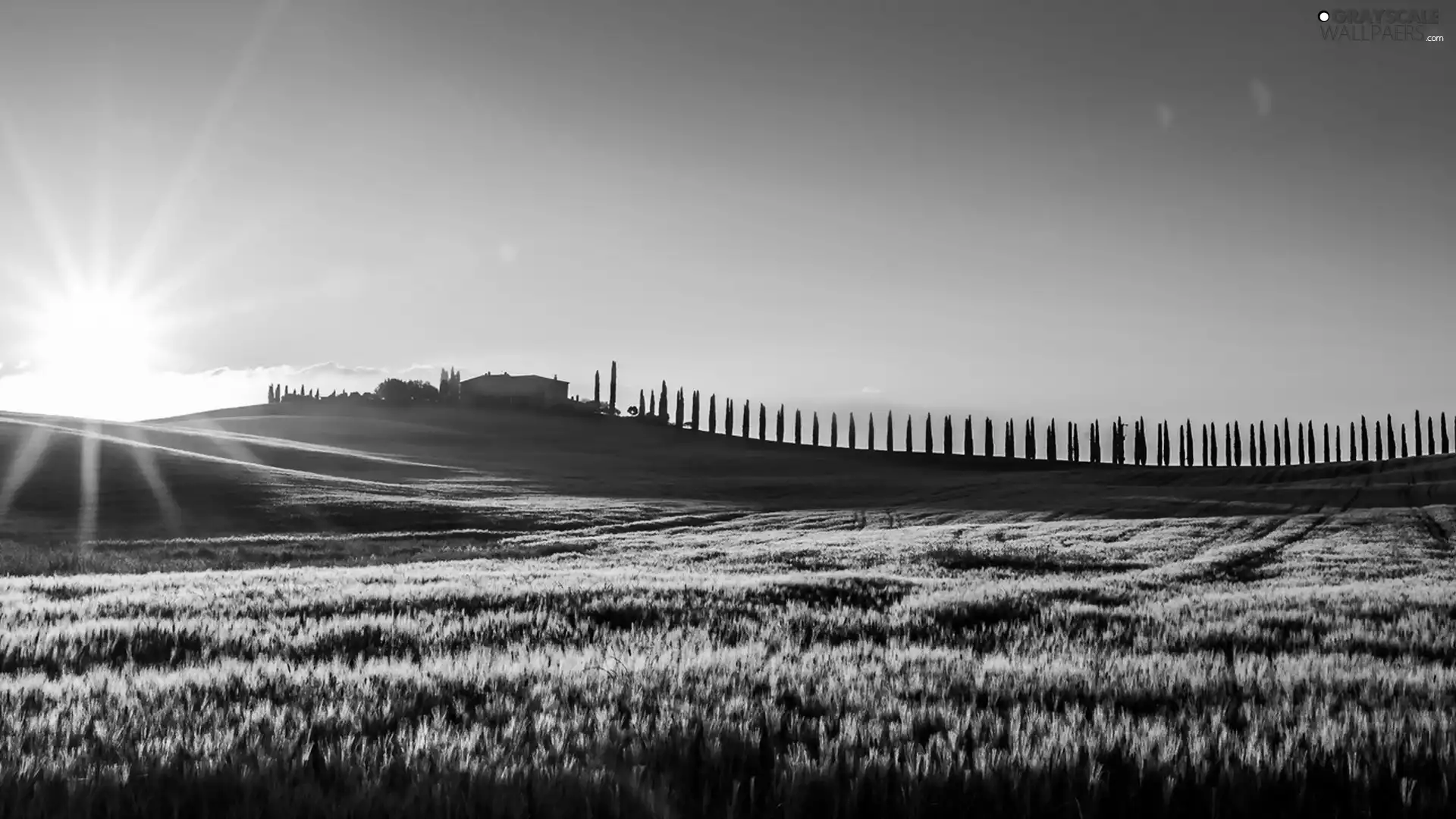 Hill, medows, house, trees, Tuscany, Italy, rays, sun, viewes