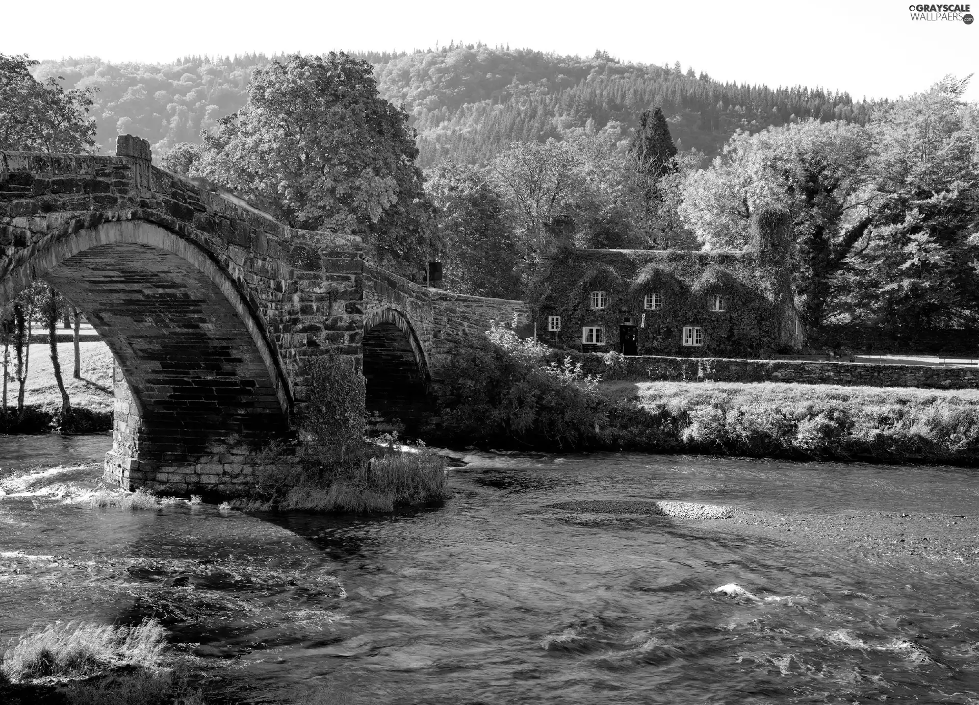 house, bridge, River