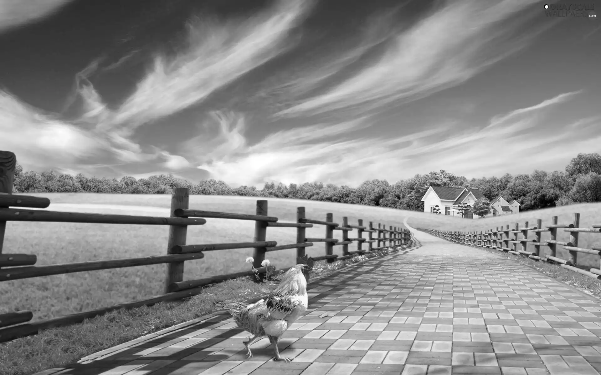 Meadow, rooster, house, Sky, fence, Way