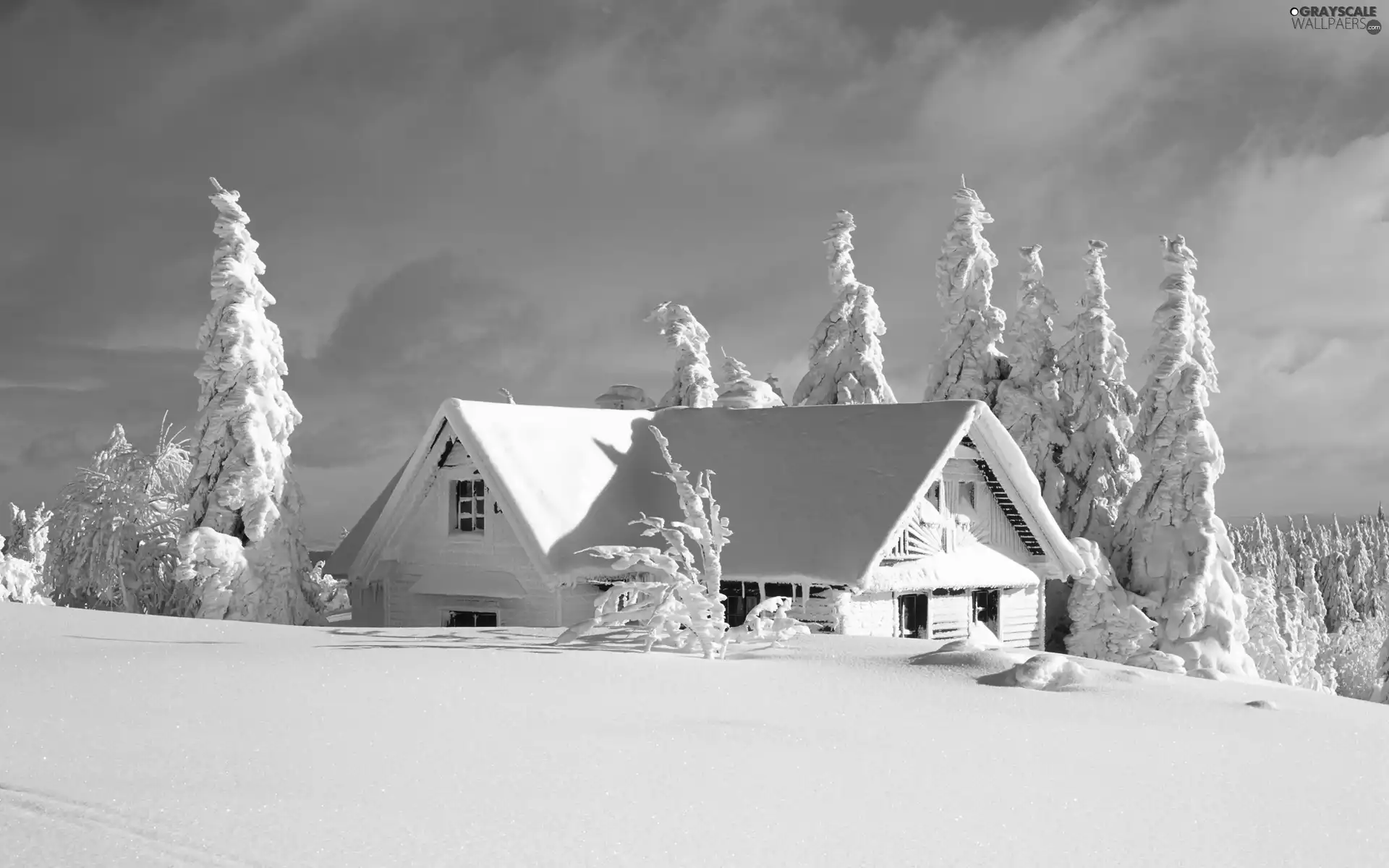 house, winter, snow