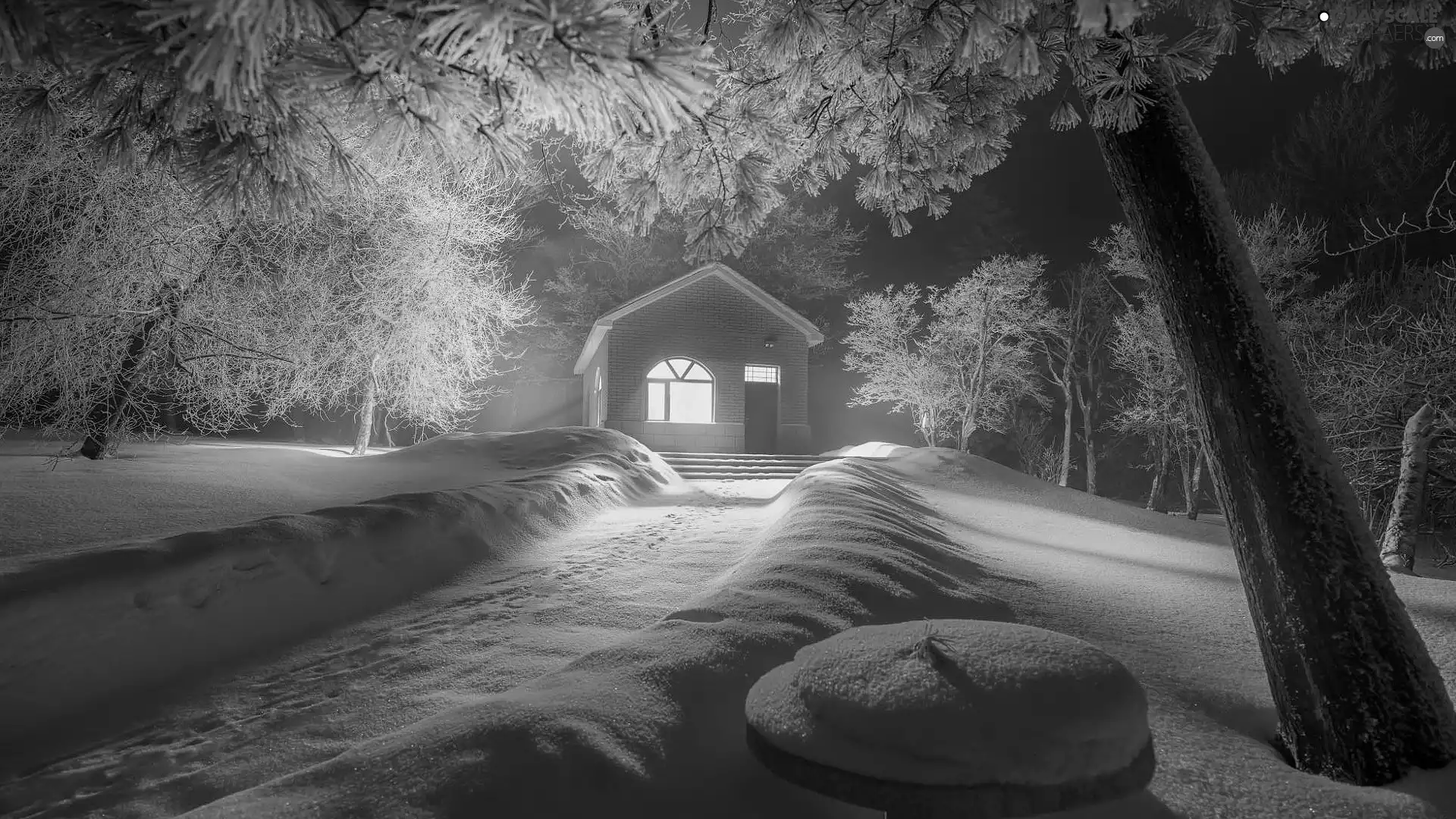 Path, Floodlit, trees, house, winter, Snowy, viewes