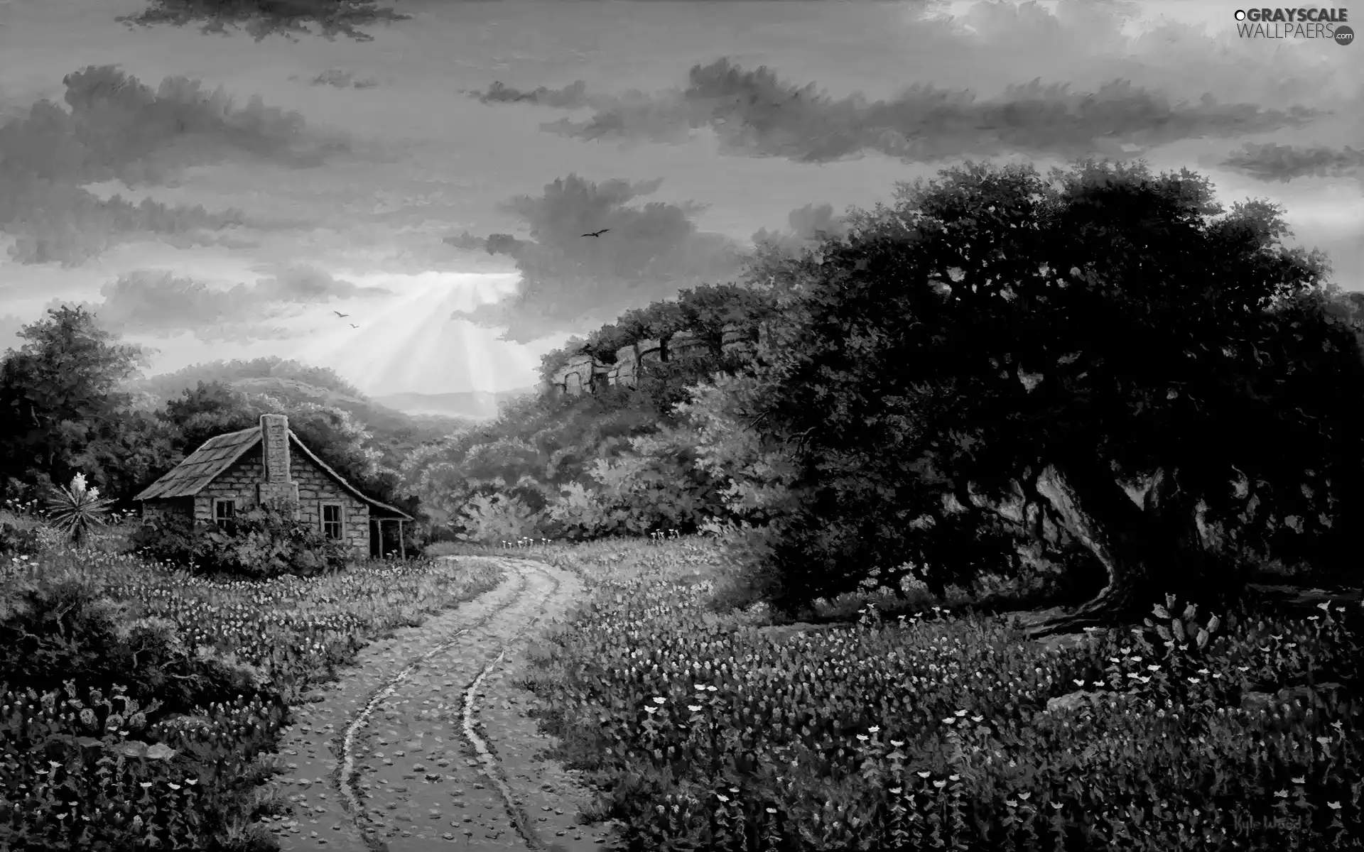 Way, Flowers, house, Meadow