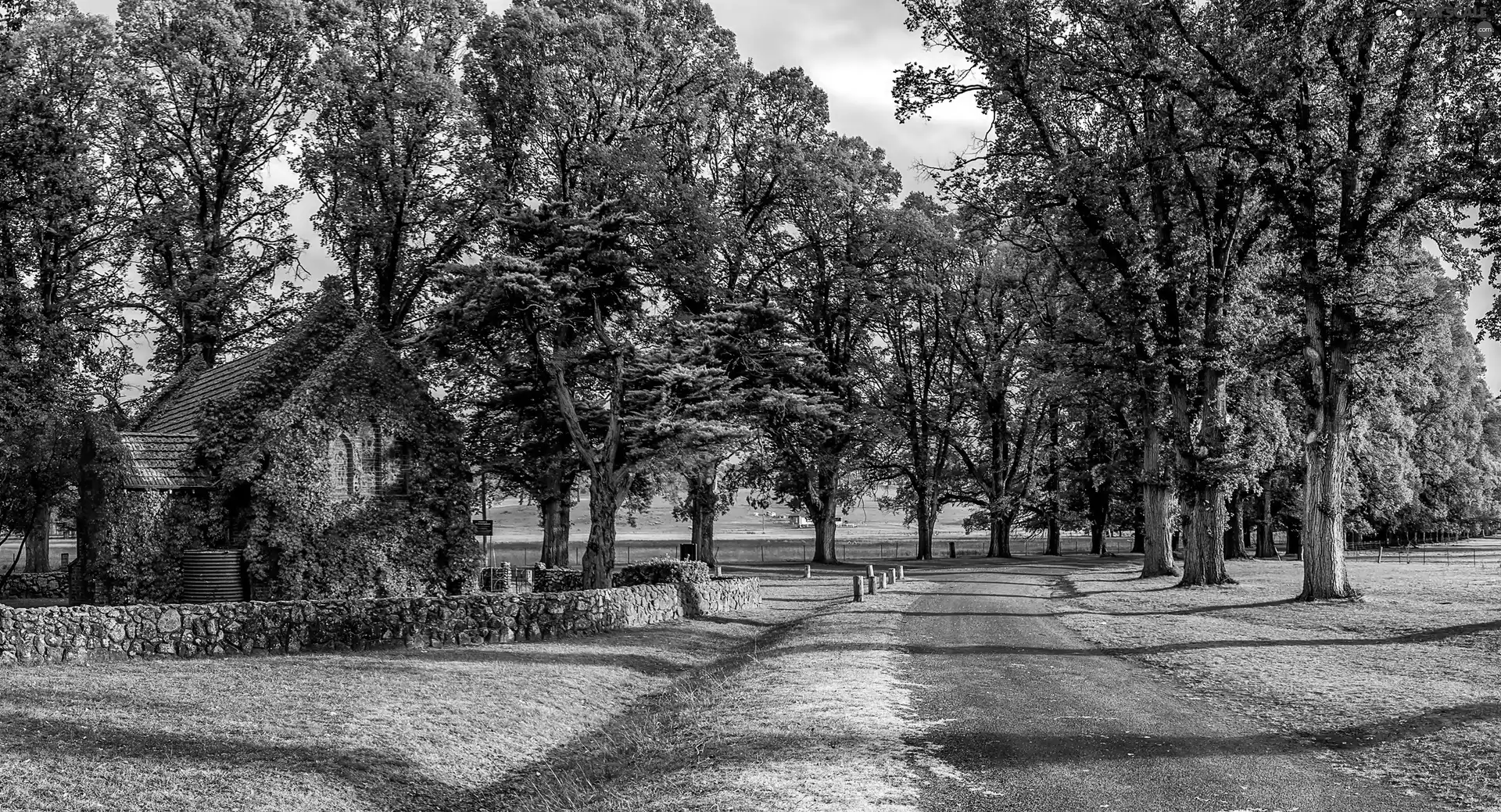 Way, viewes, house, trees