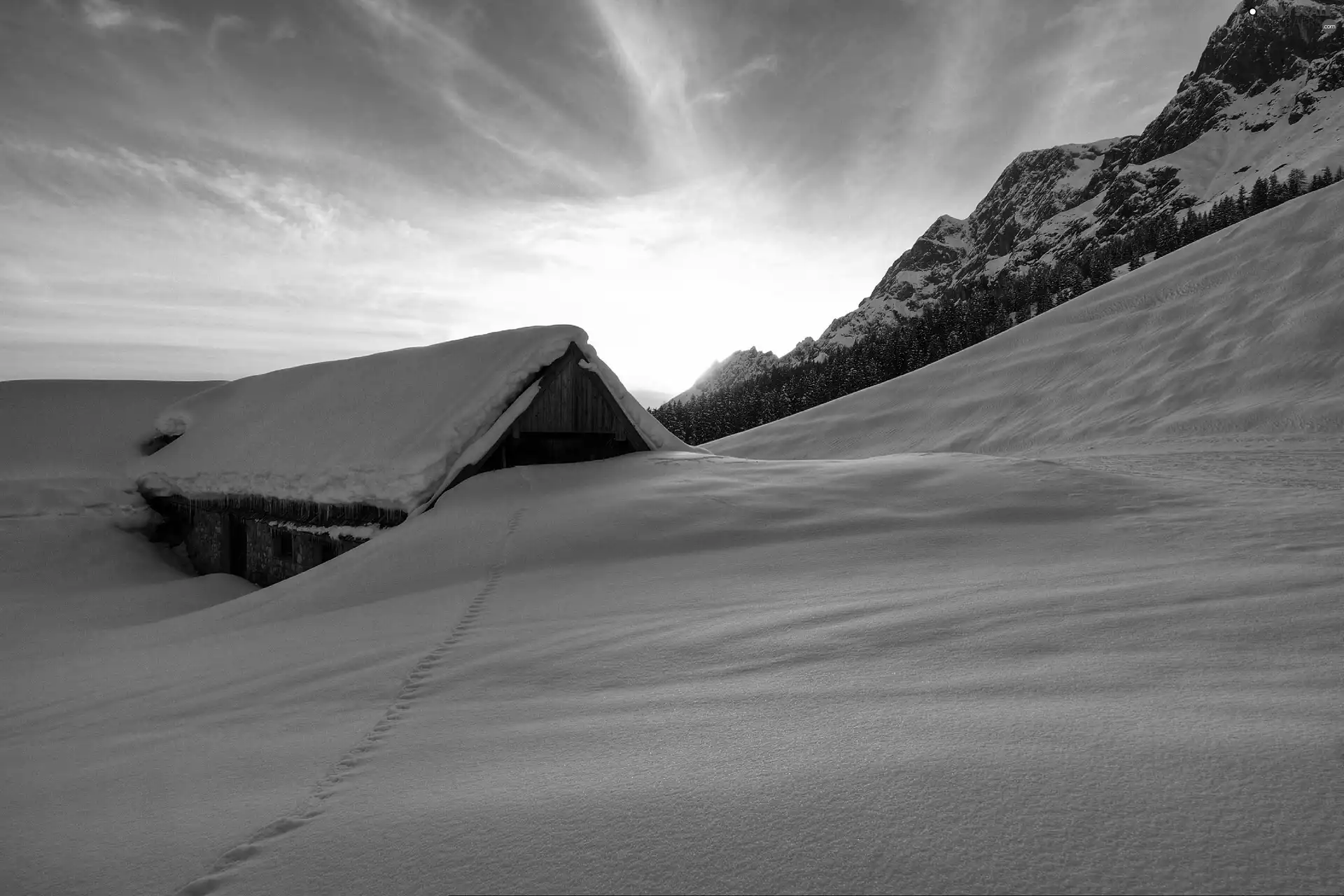 winter, forest, house, Mountains