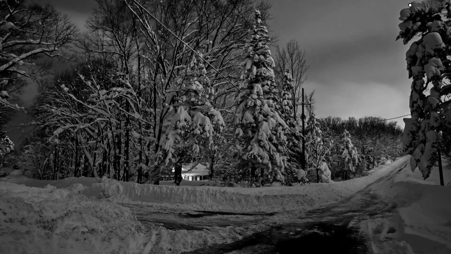 winter, forest, house, Way