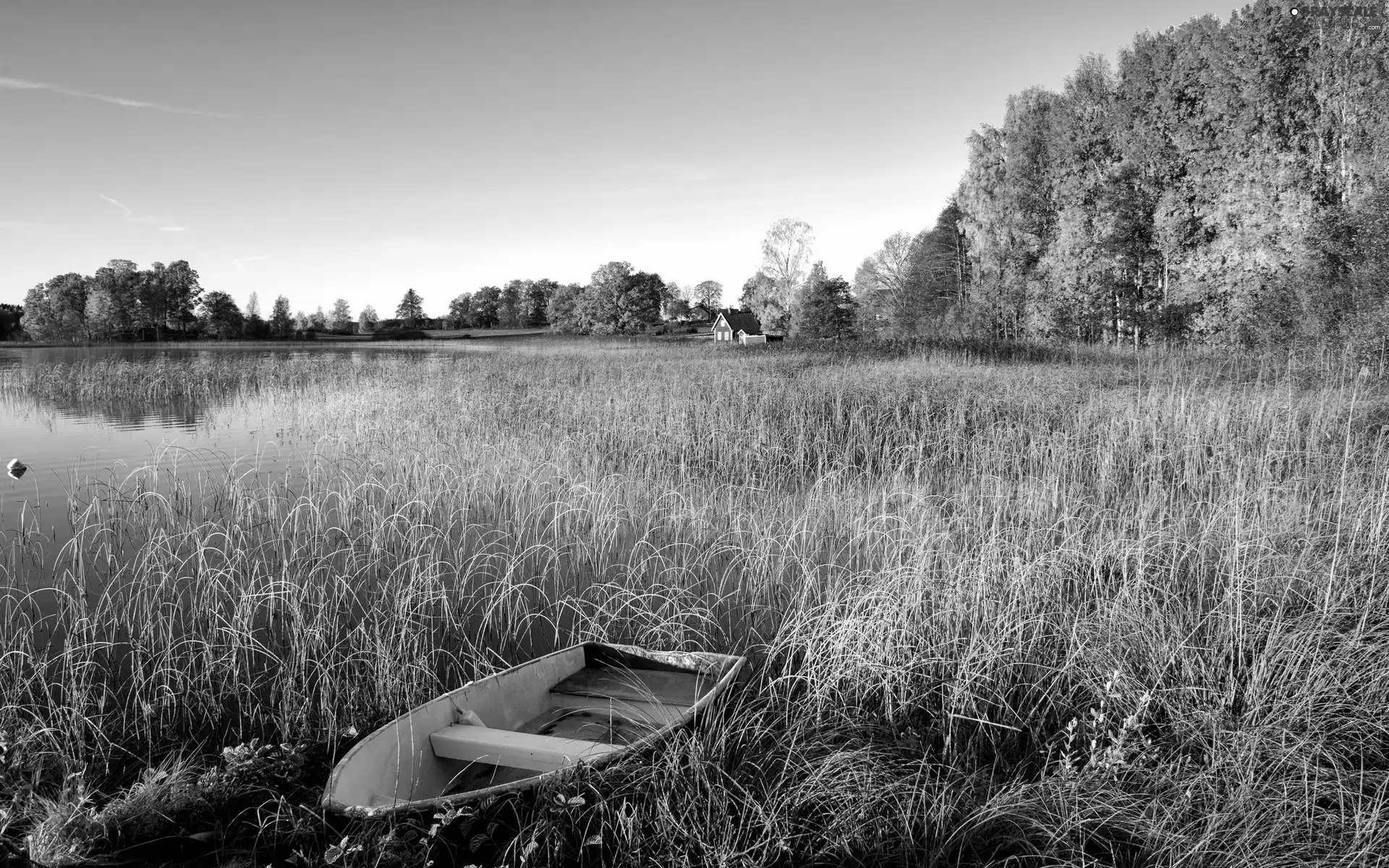 rushes, lake, Houses, autumn, forest, Boat