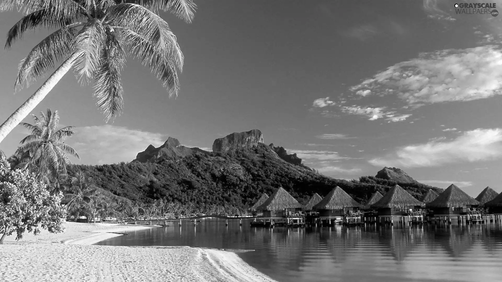 Beaches, Mountains, Houses, Palms