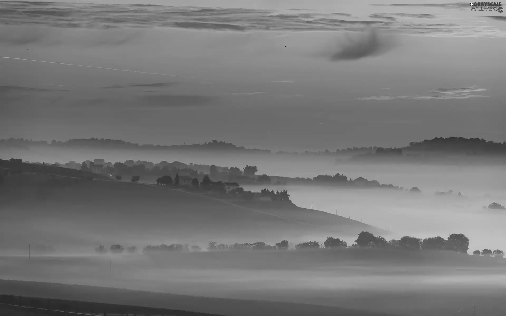 Houses, Fog, field