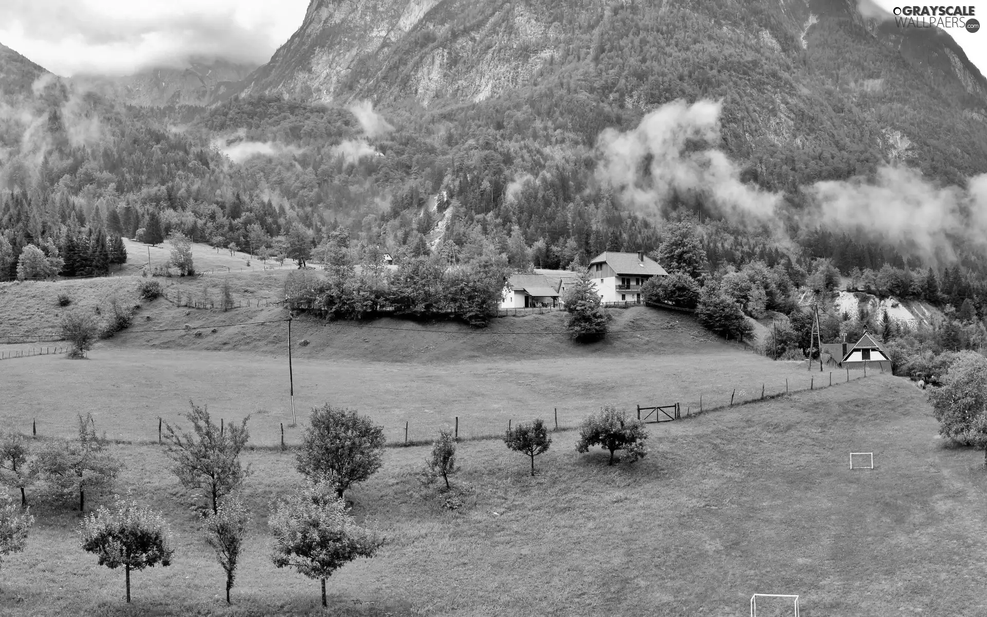 Houses, Fog, woods, field, Mountains