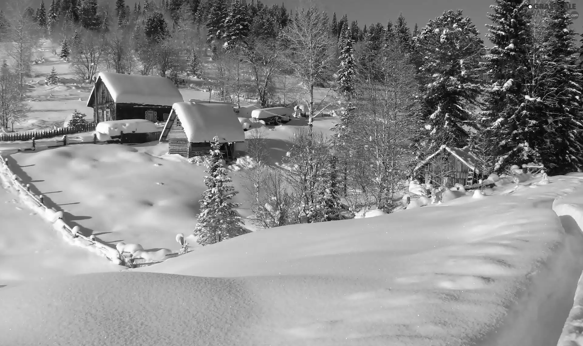 Houses, winter, forest