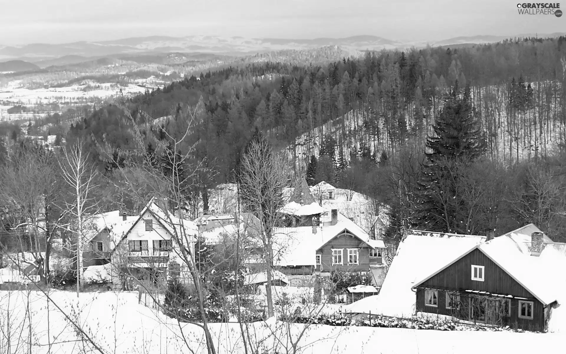 Houses, winter, forest