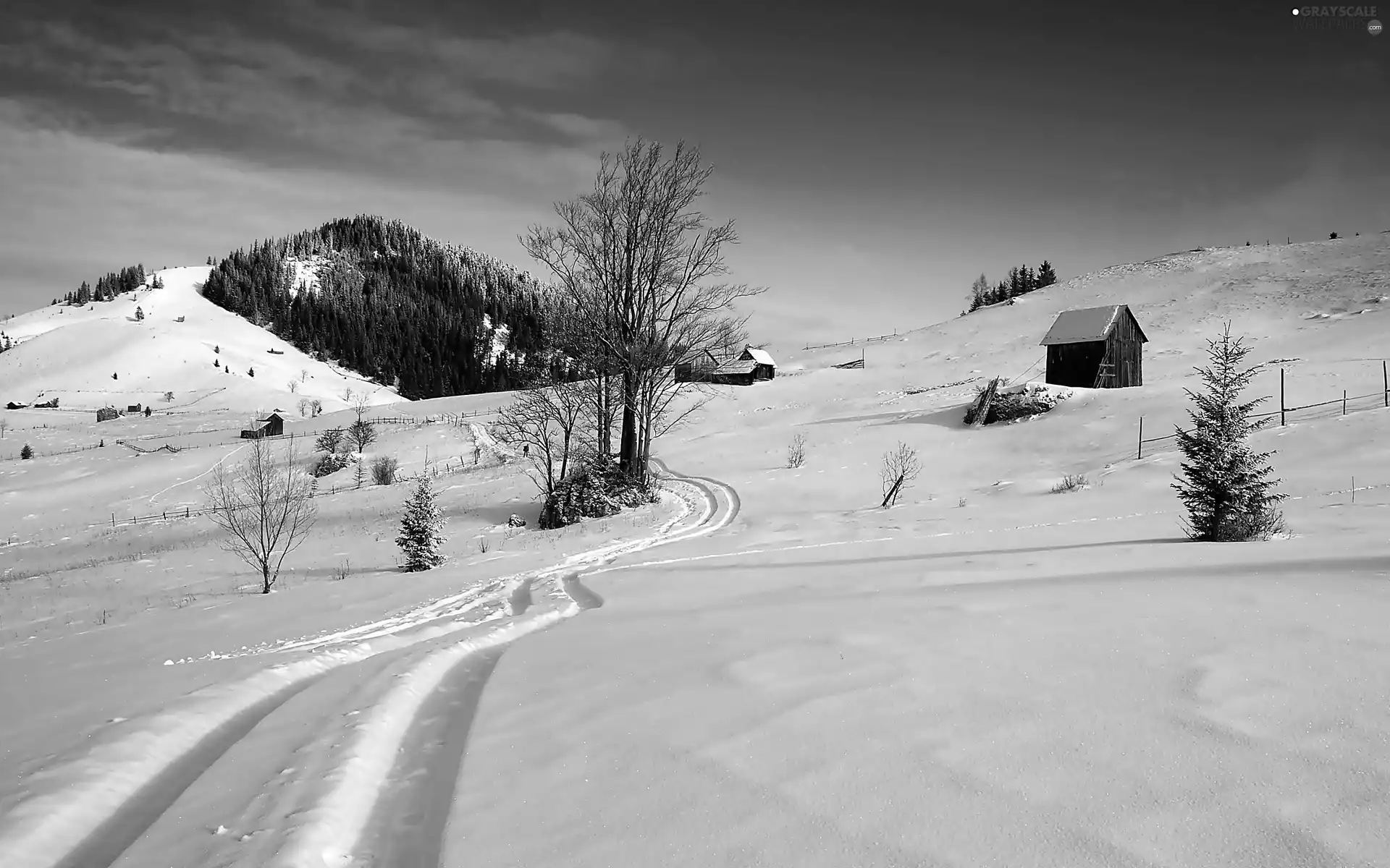 The Hills, winter, Houses
