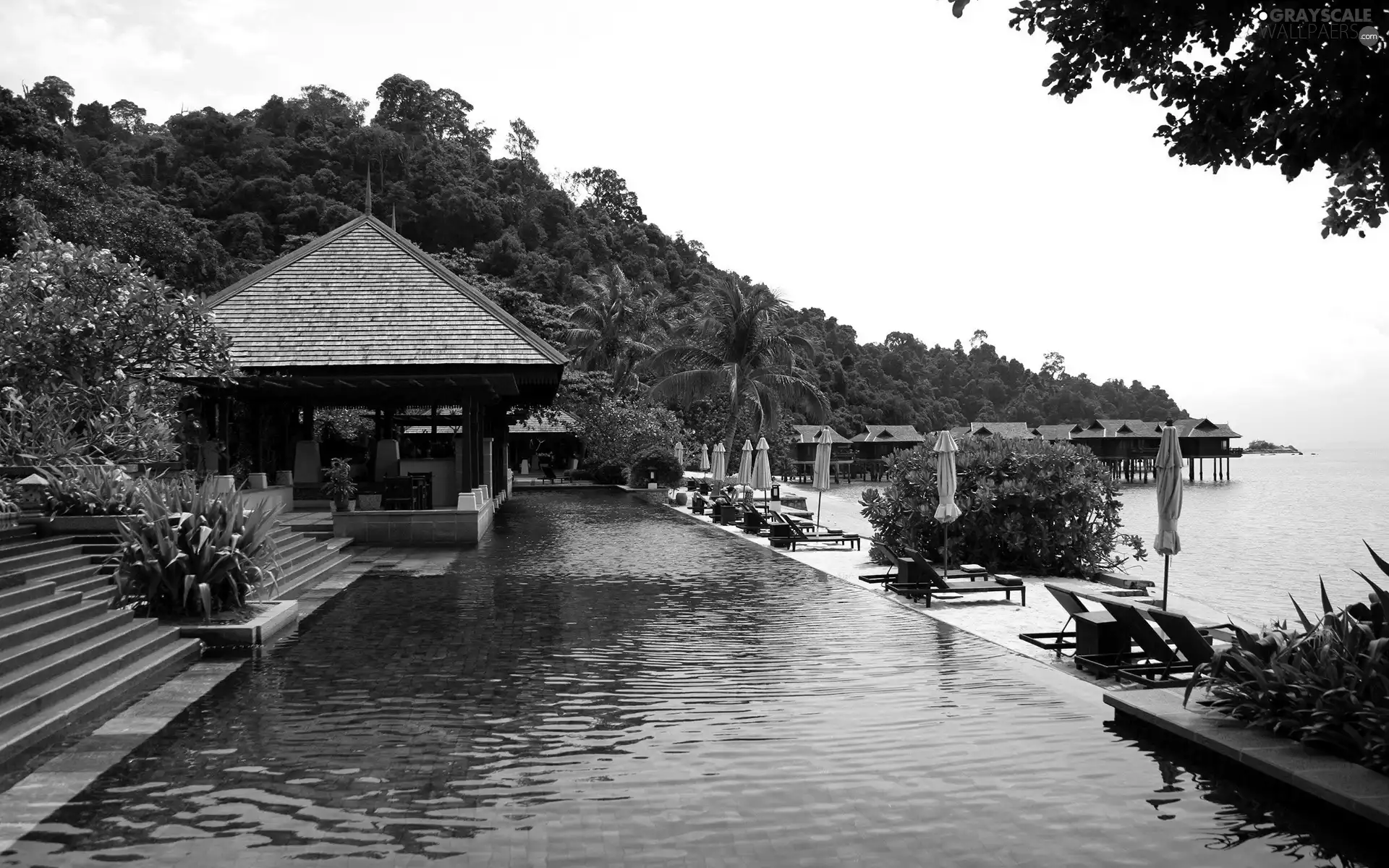 Houses, The hotel, Pool, sea, Luxuries