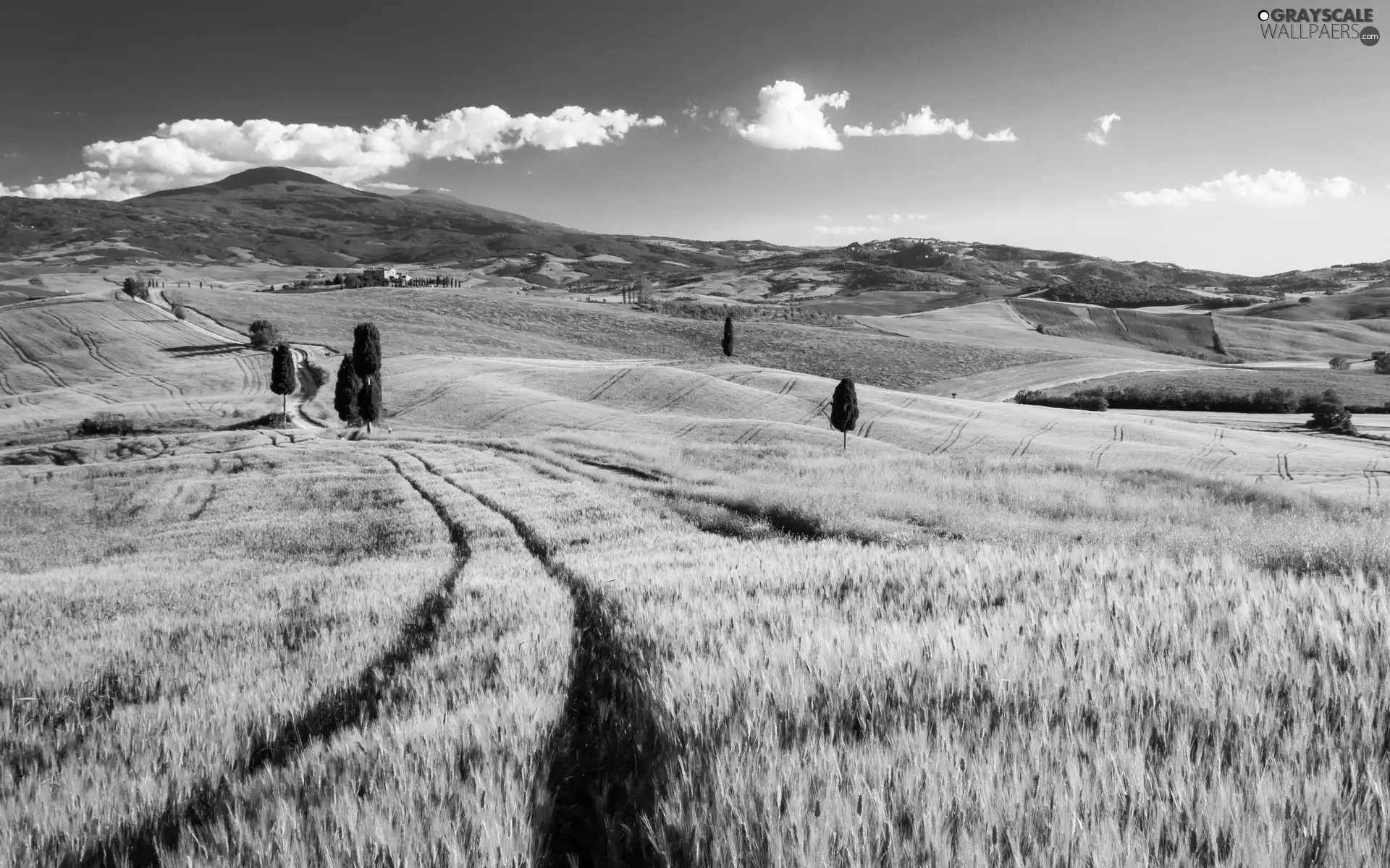 Mountains, field, Tuscany, Way, medows, Houses, Italy