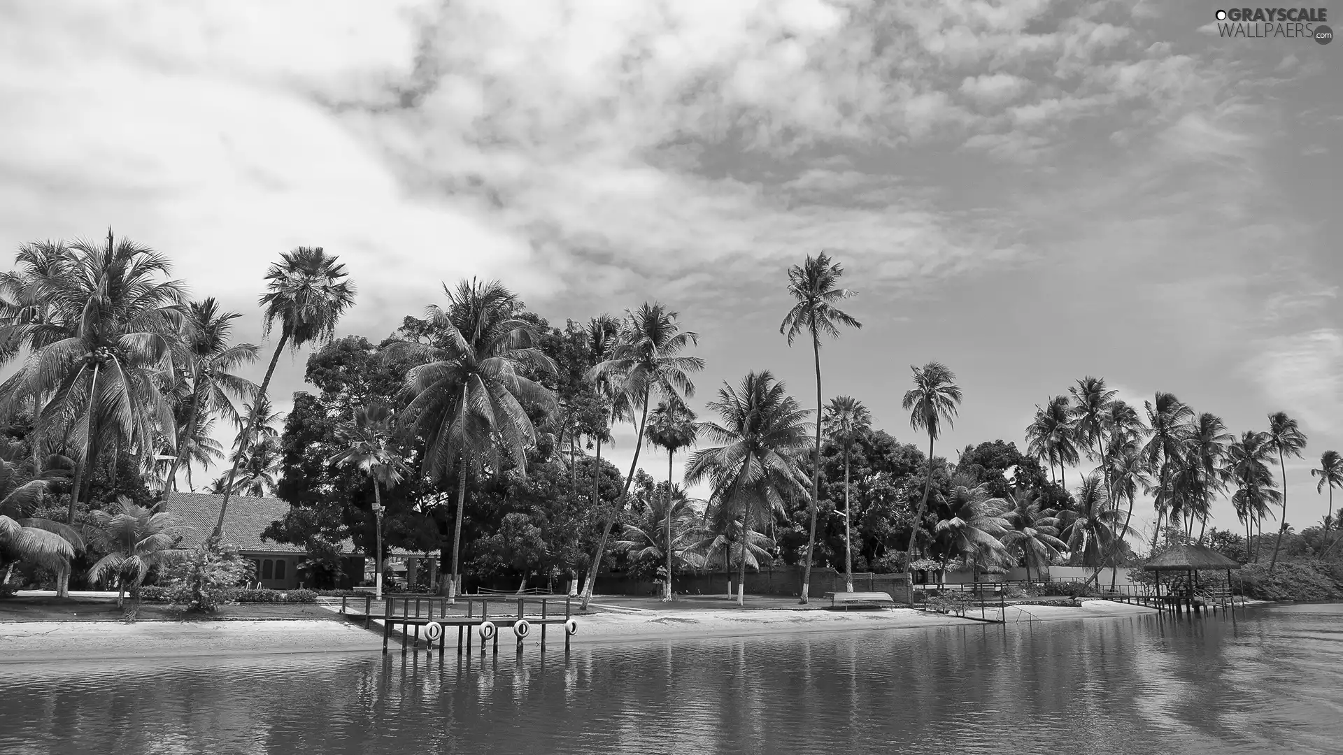 Houses, Beaches, Palms