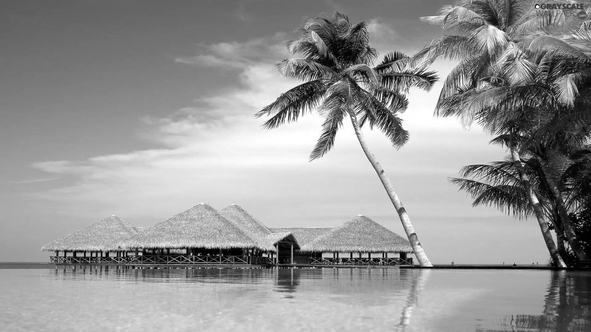 Palms, sea, Houses, clouds