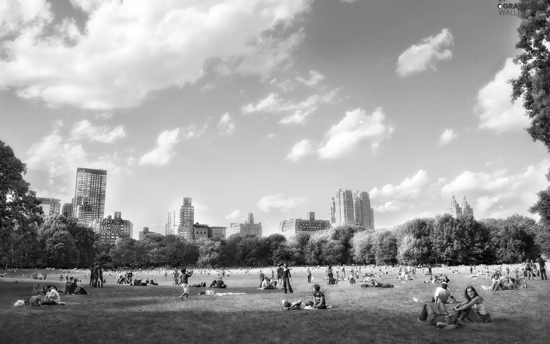 Houses, Park, picnic