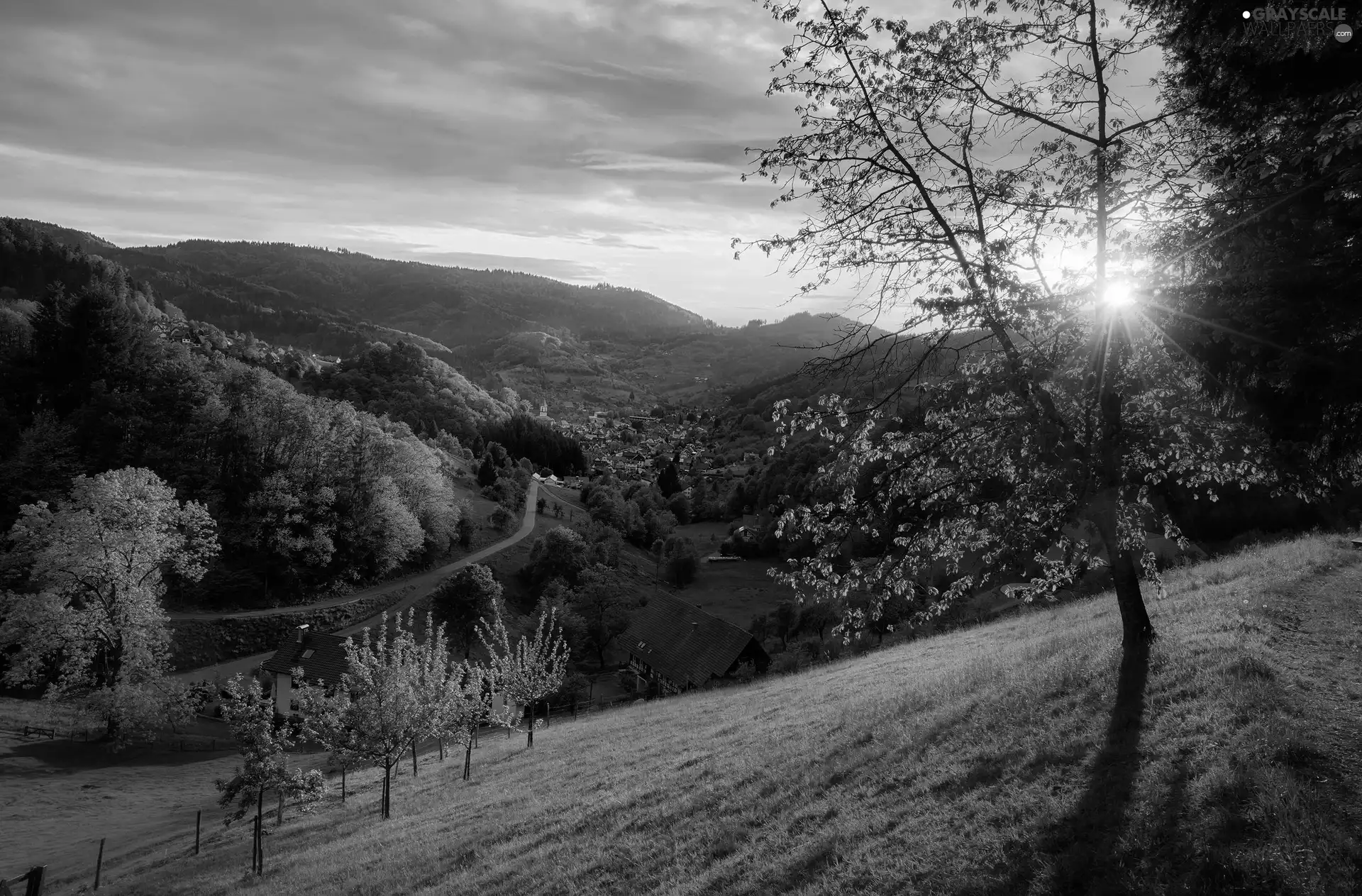 Valley, trees, Way, viewes, The Hills, Houses, rays of the Sun