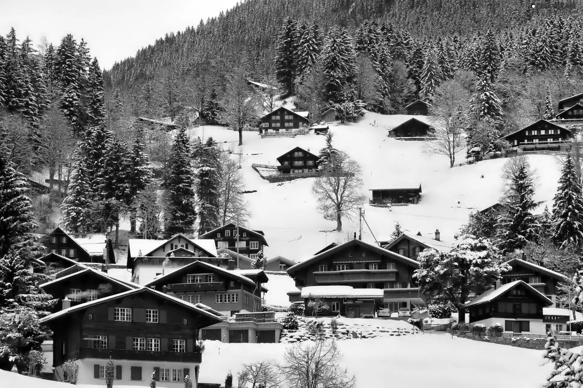 snow, viewes, Houses, trees