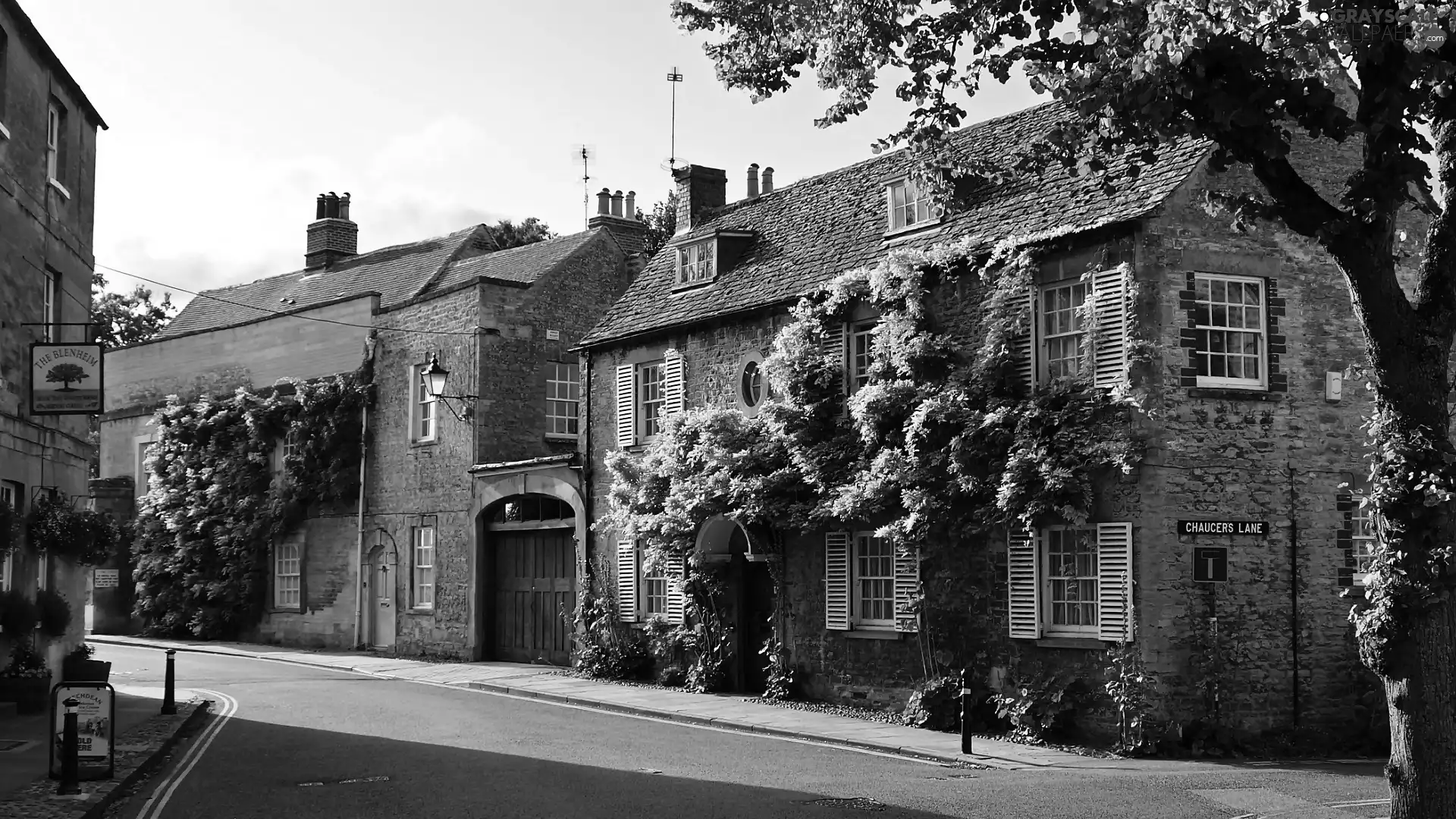 Houses, England, Street