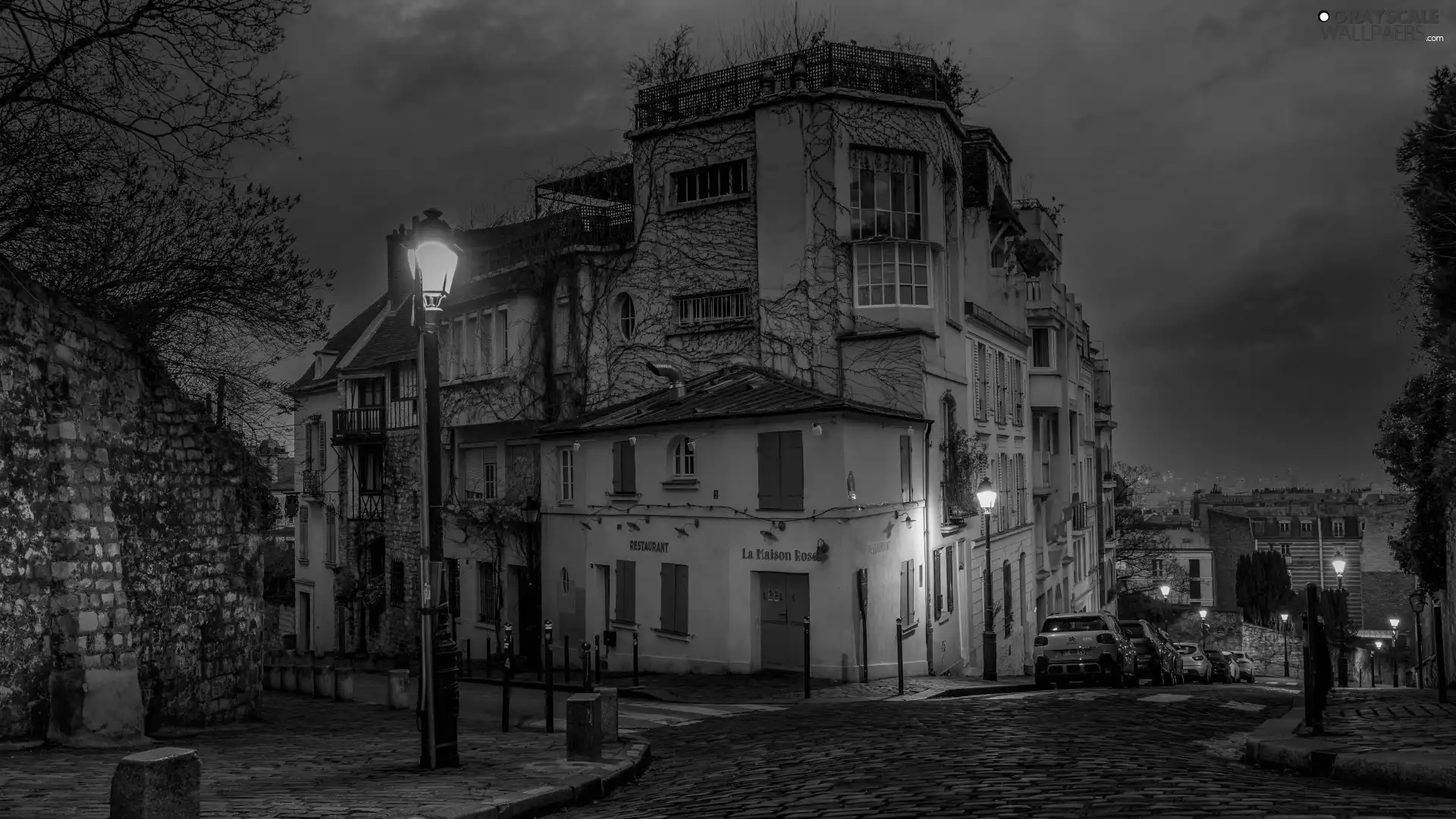 light, Night, trees, Houses, Street, lanterns, viewes