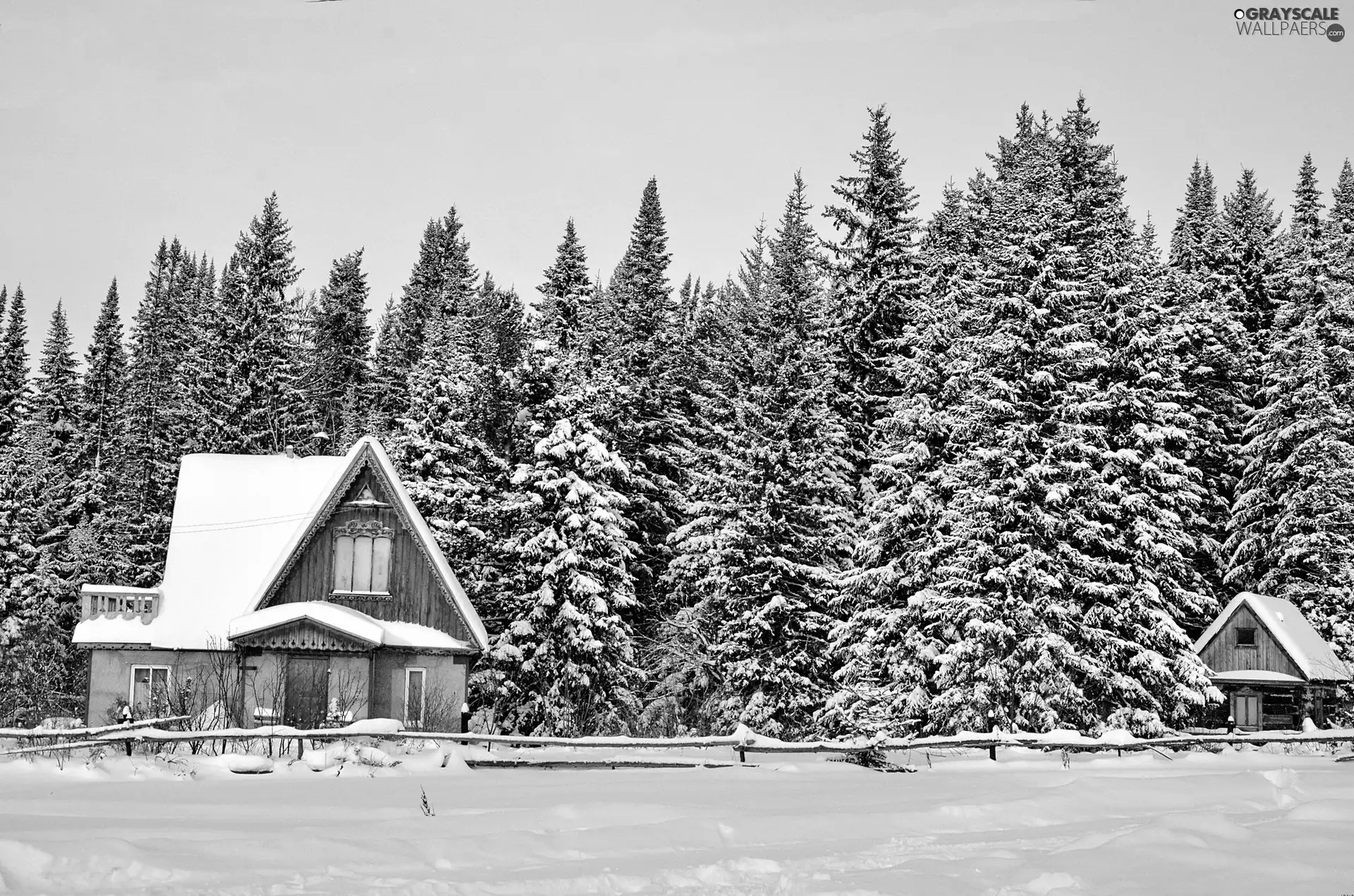 winter, forest, Houses, cuts