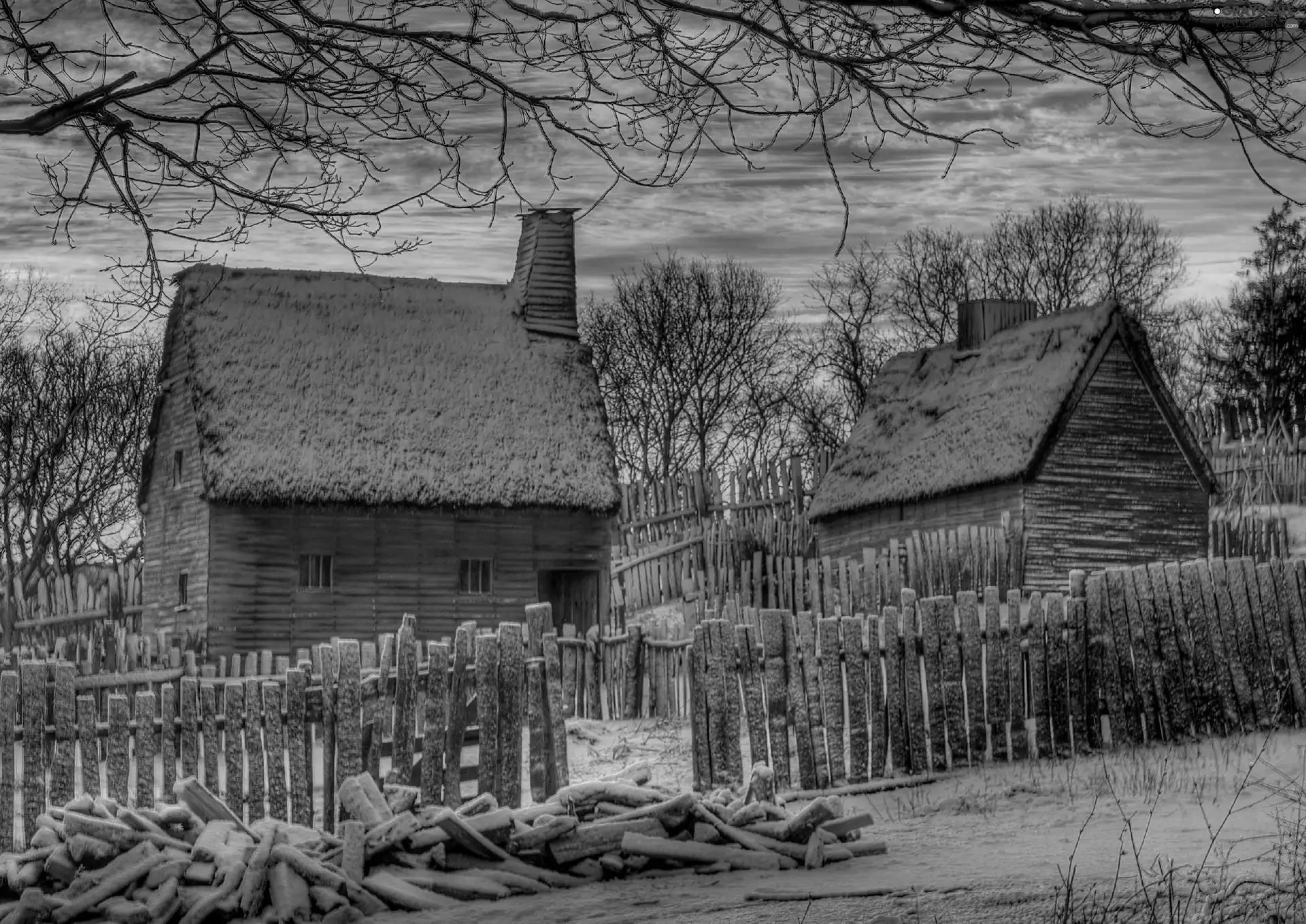 trees, west, Houses, winter, viewes, sun