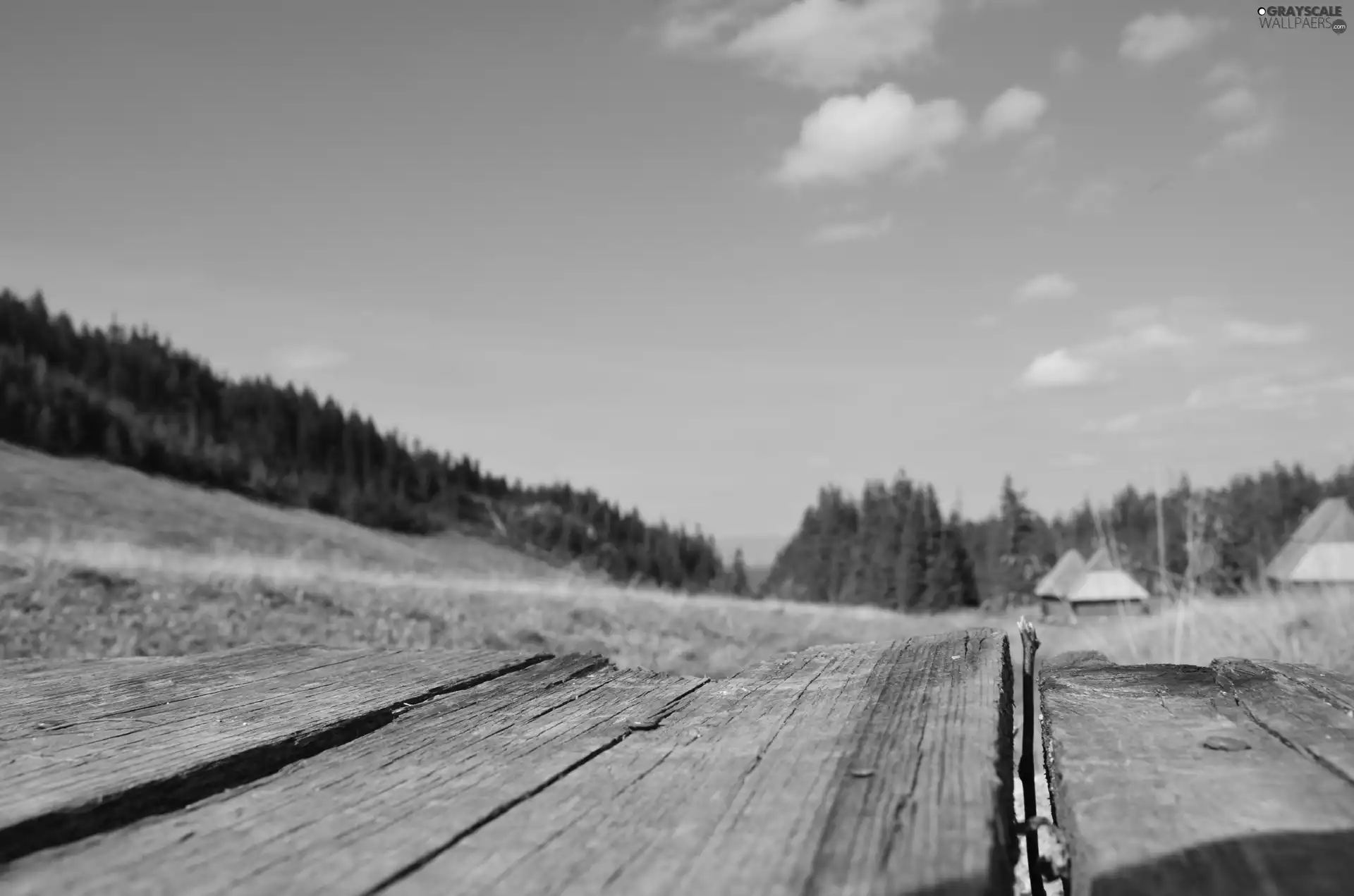 Zakopane, bridges, Houses, Meadow