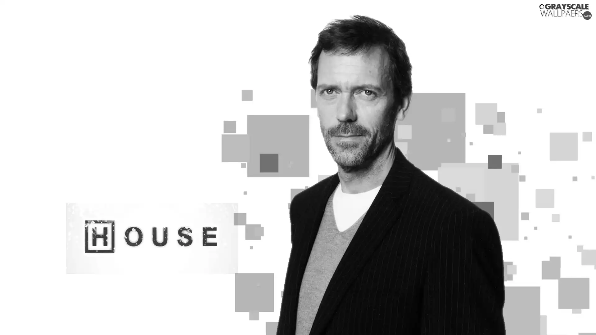 Hugh Laurie, Dr House, series