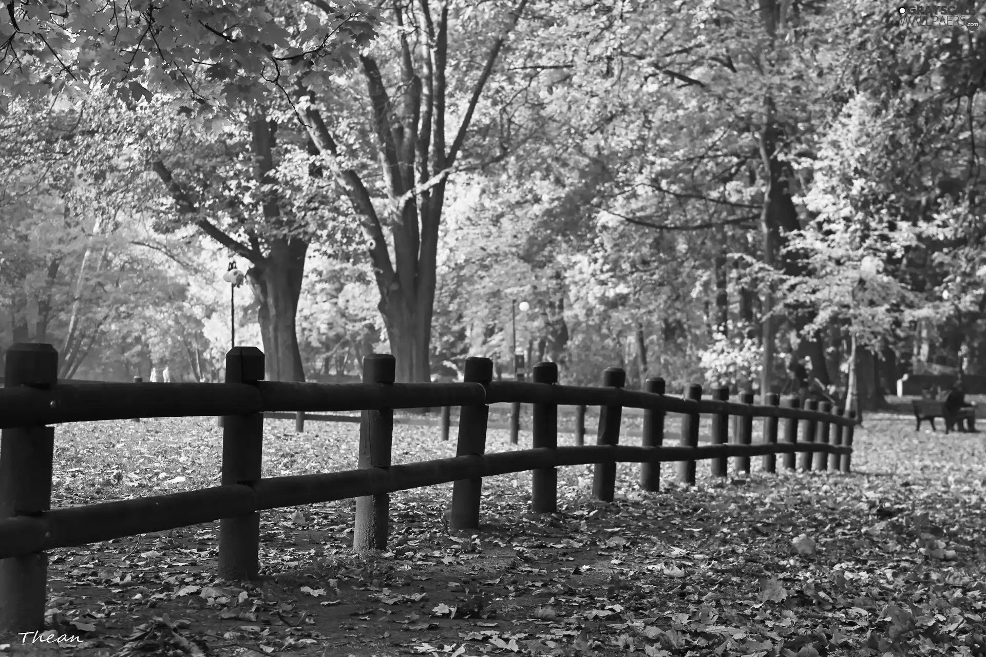 Autumn, wooden, Hurdle, Park