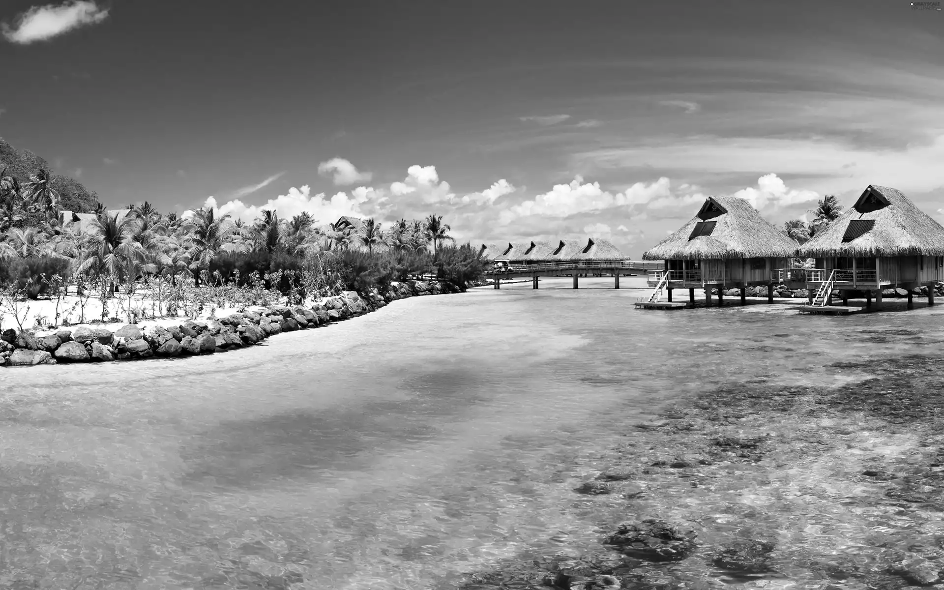 Palms, water, hut, blue