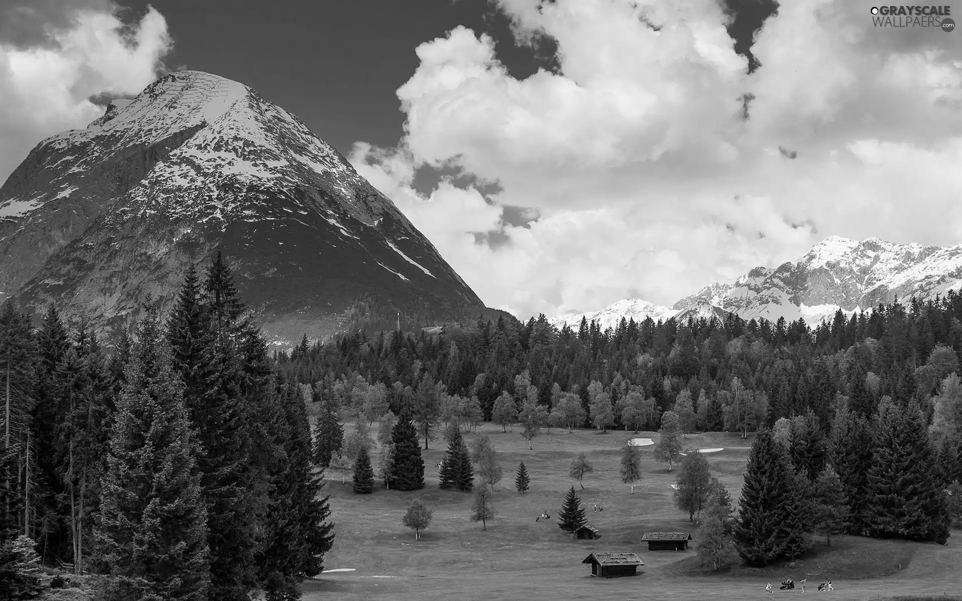 Mountains, Meadow, huts, forest