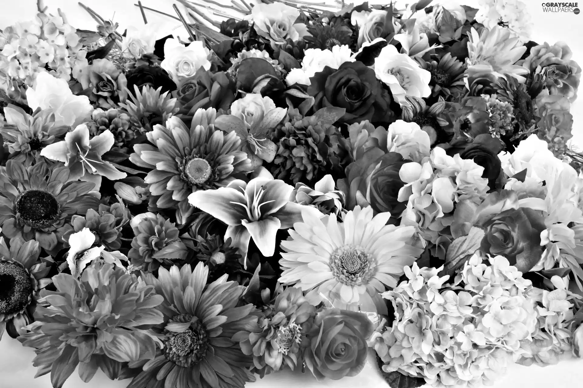 gerberas, bouquet, Hyacinths, lilies, roses, flowers