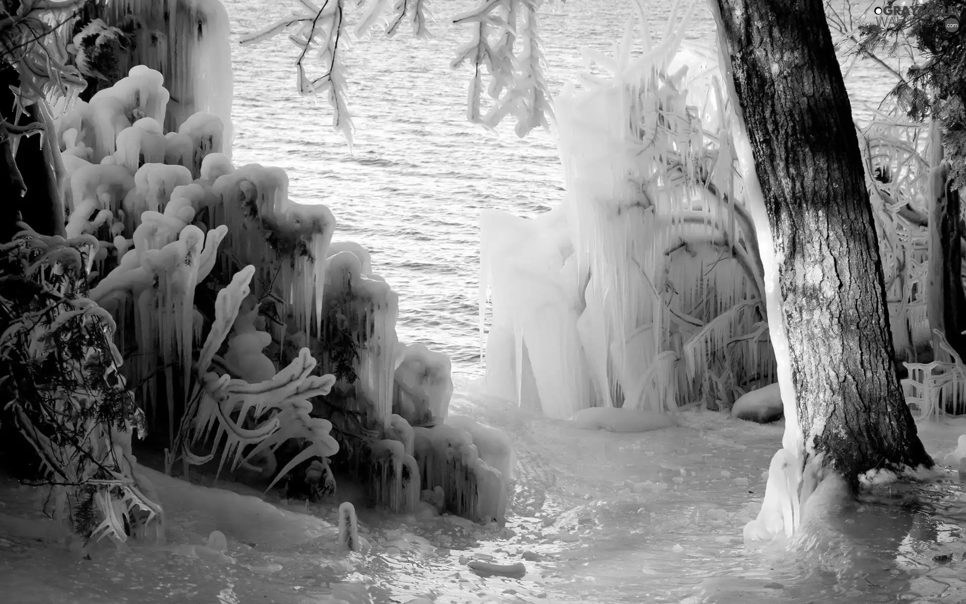 Icecream, winter, frozen, Bush, lakes