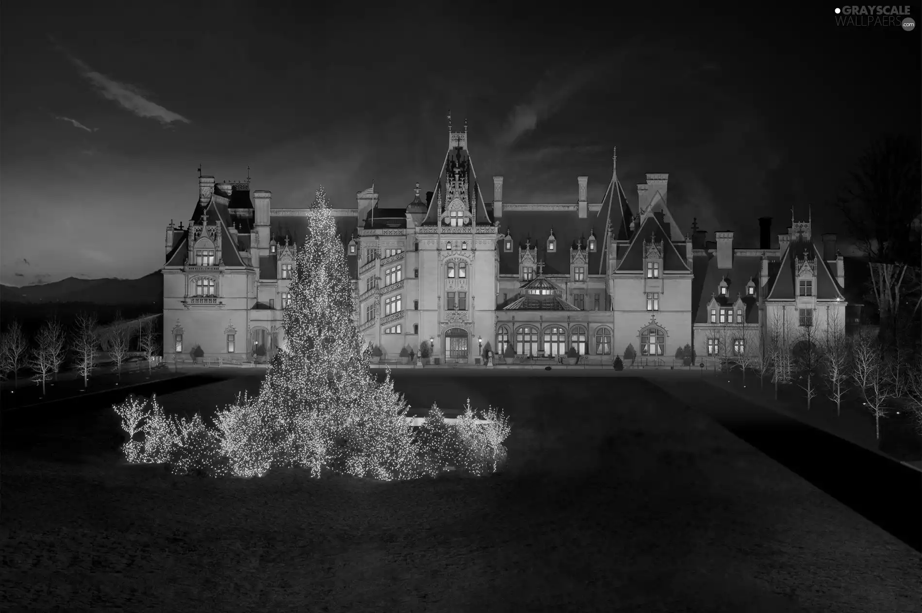 christmas tree, Hotel hall, illuminated