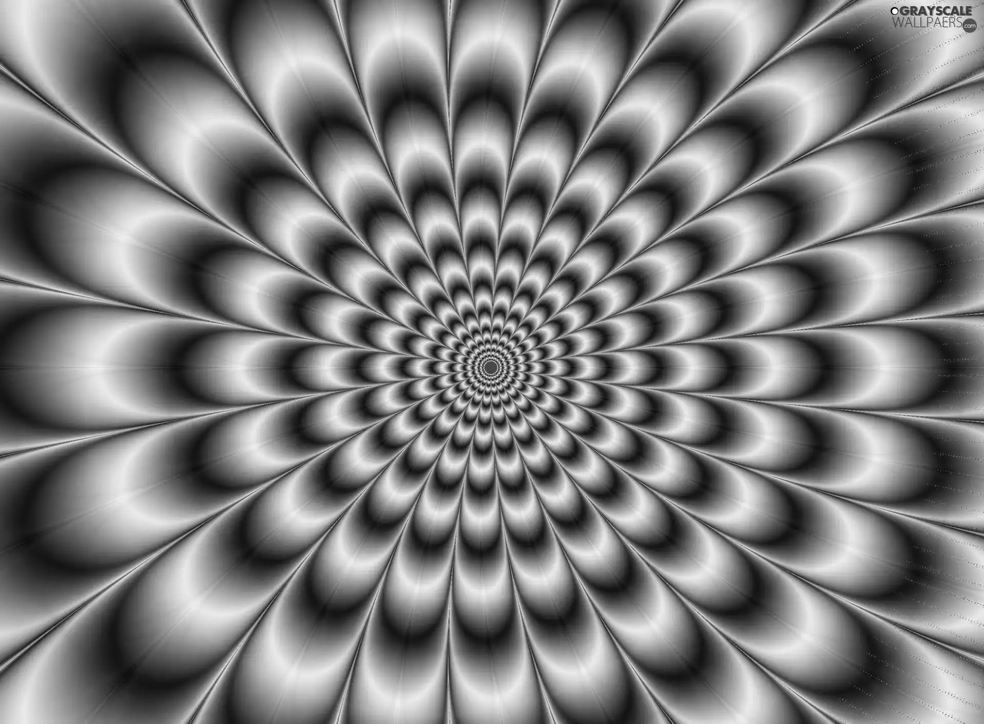 illusion, wheel, patterns