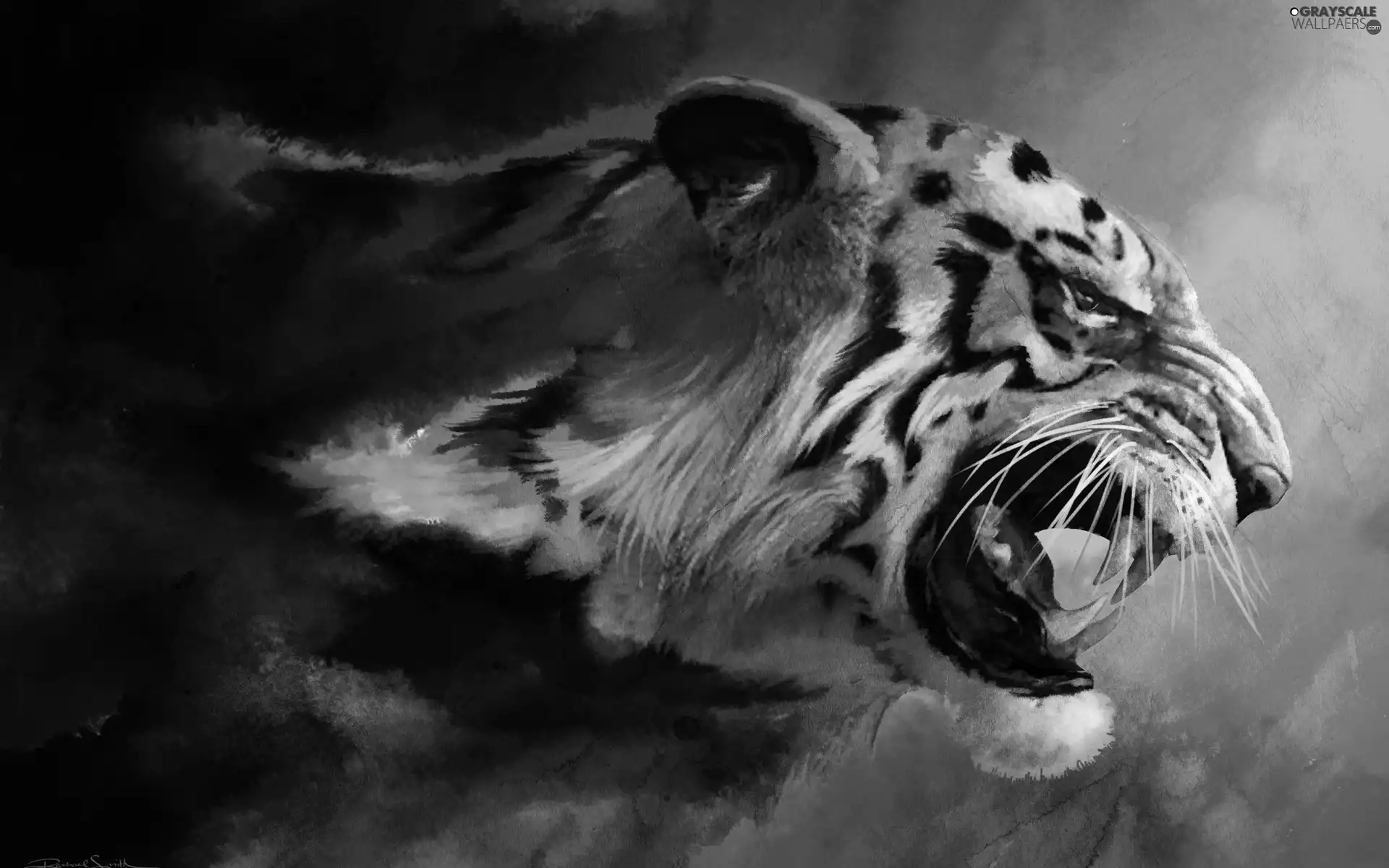 Image, tiger, copy