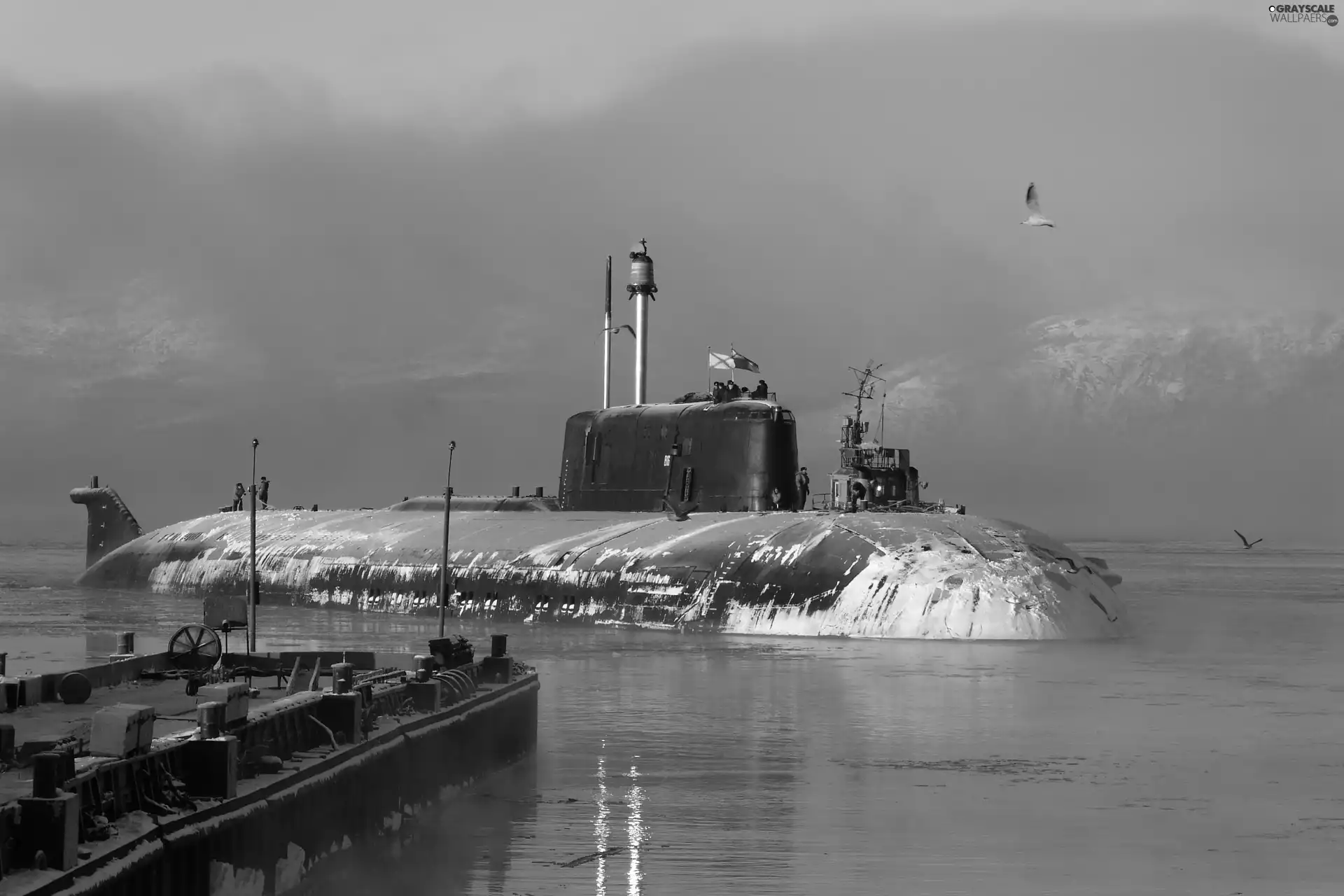 immersed, winter, ship