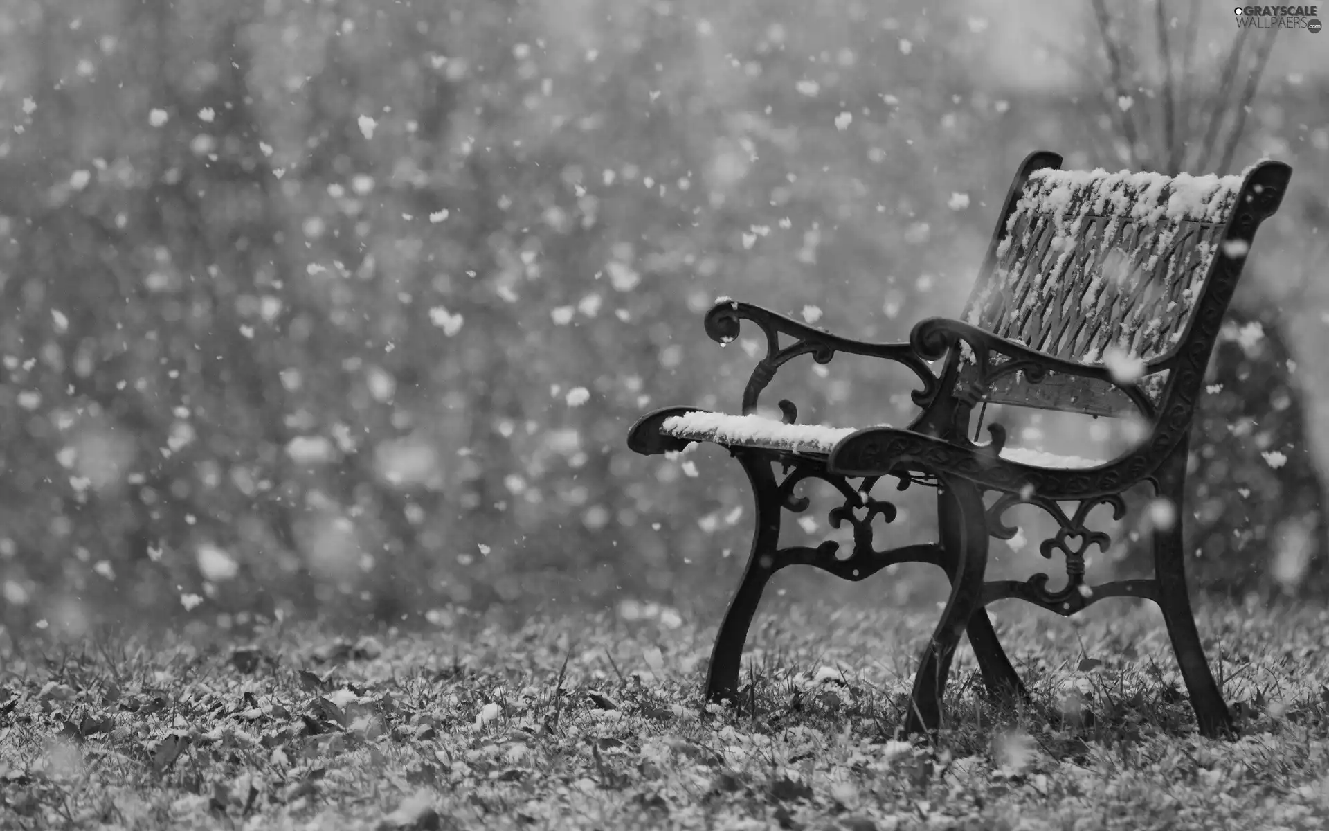 winter, snow, Bench, incident