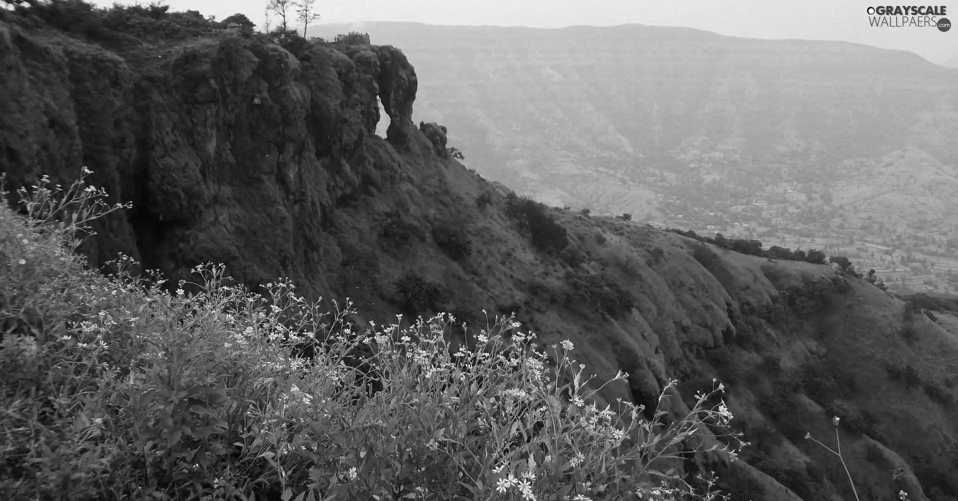 mountains, Mahabaleshwar, india, Flowers