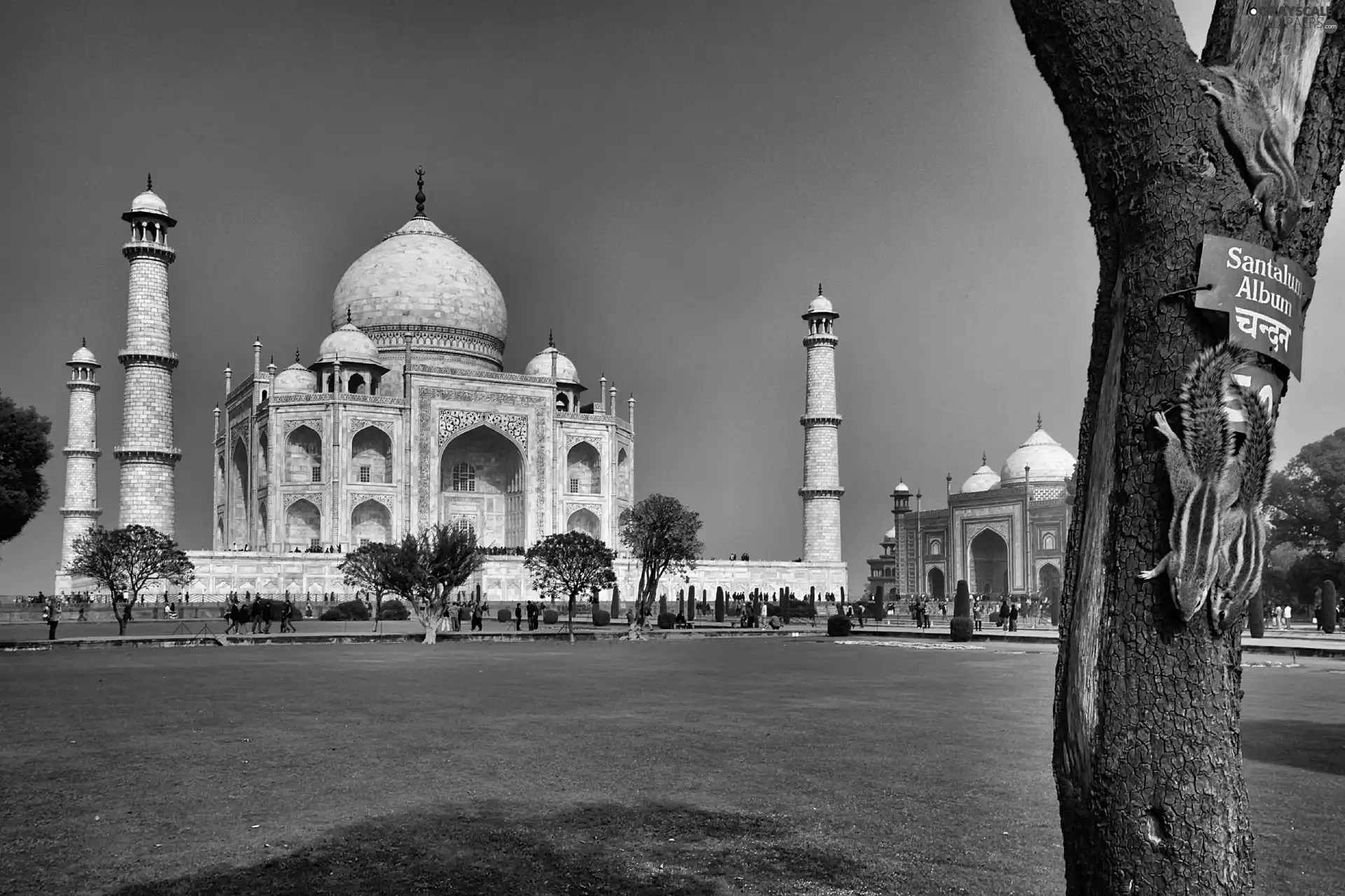 @, india