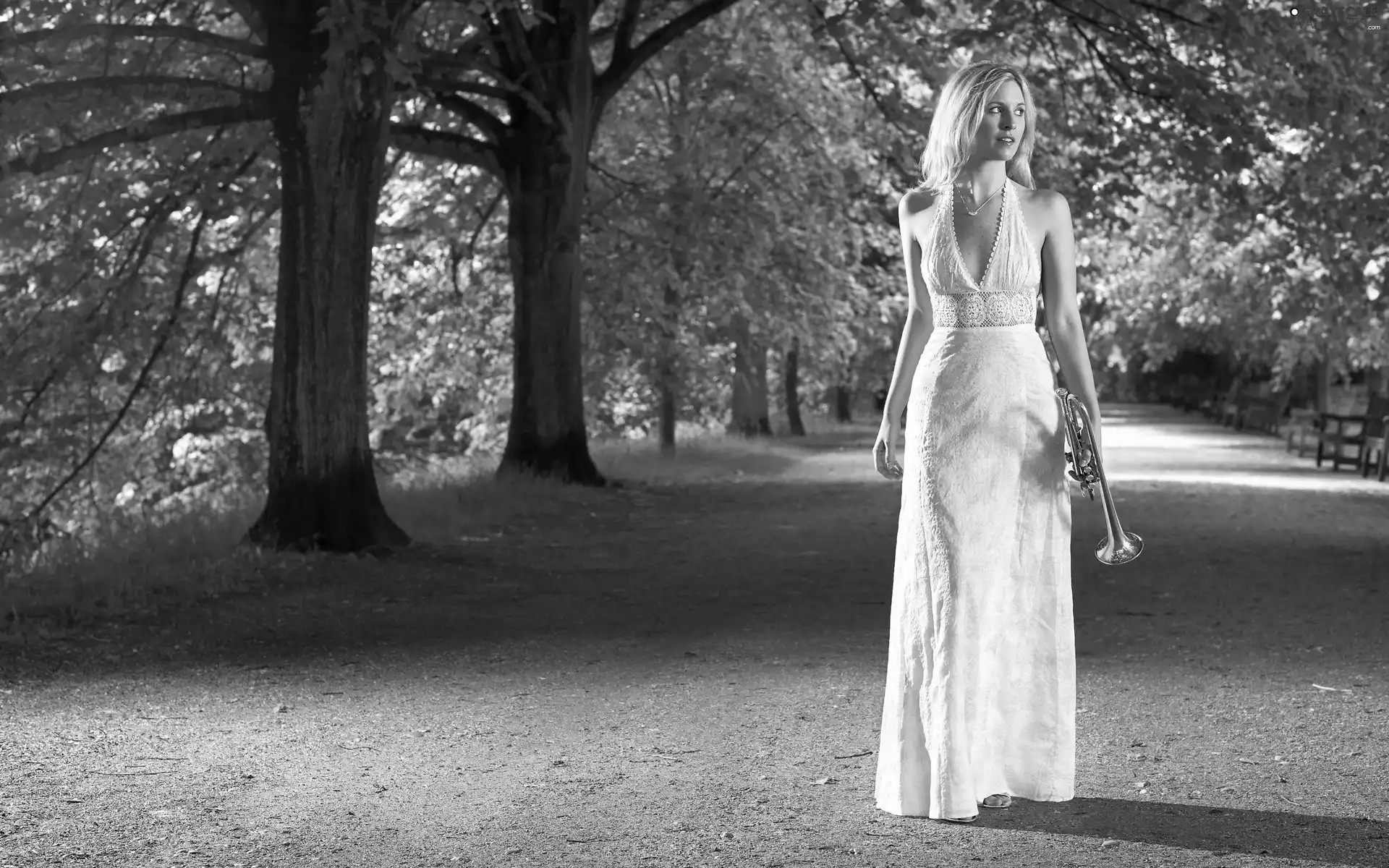 instrument, musical, Park, alley, Blonde