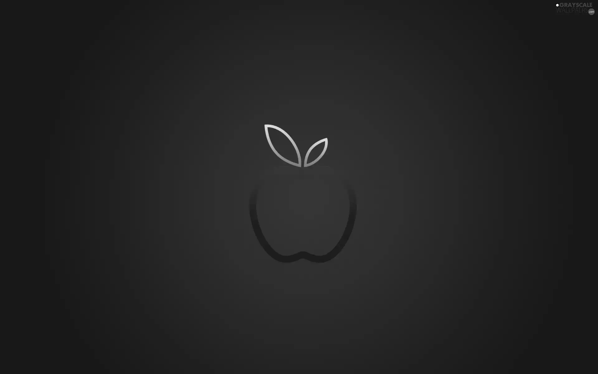 Apple, ipod